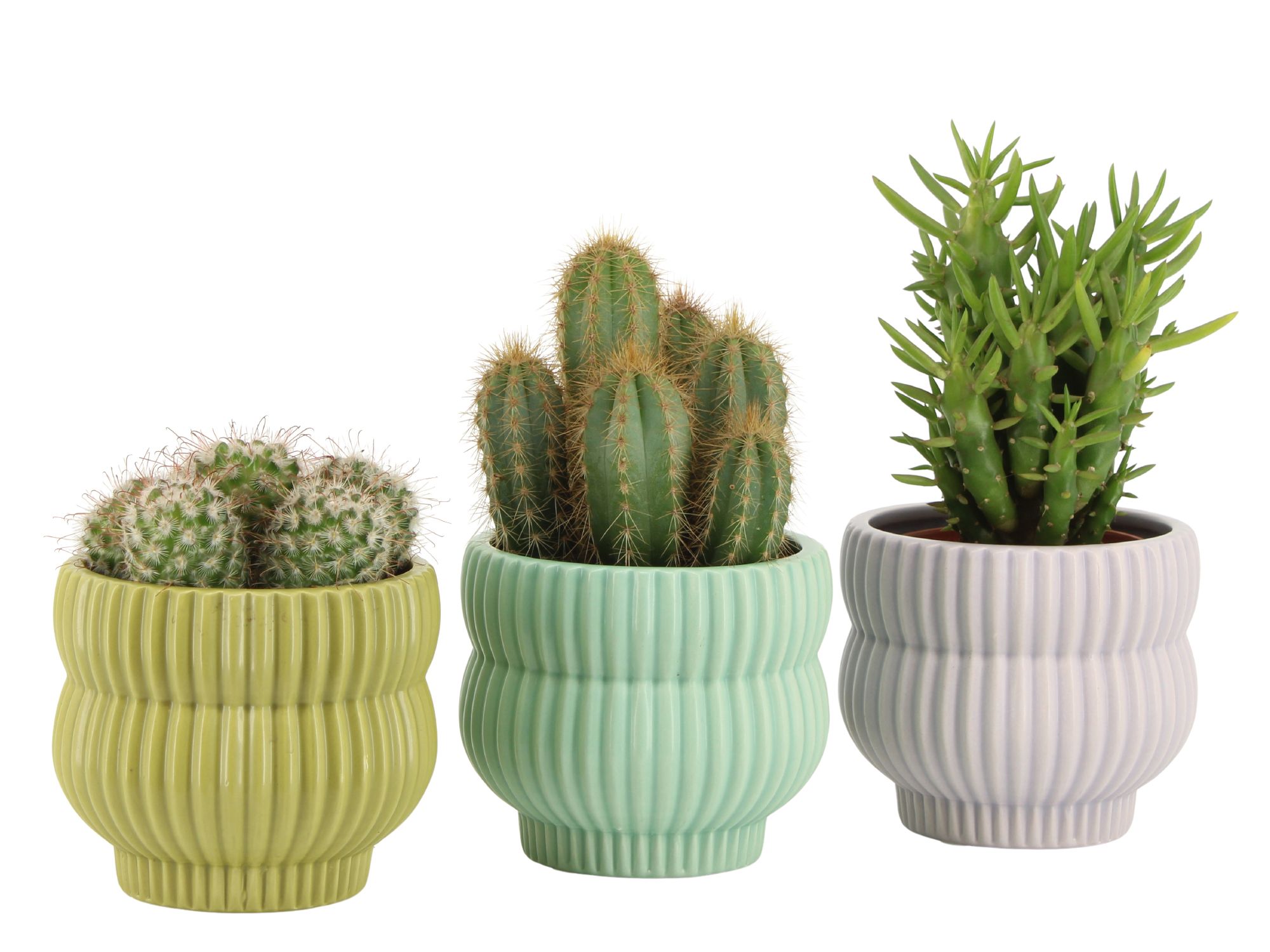 7501367: Solutionss Consideration, D 8,5