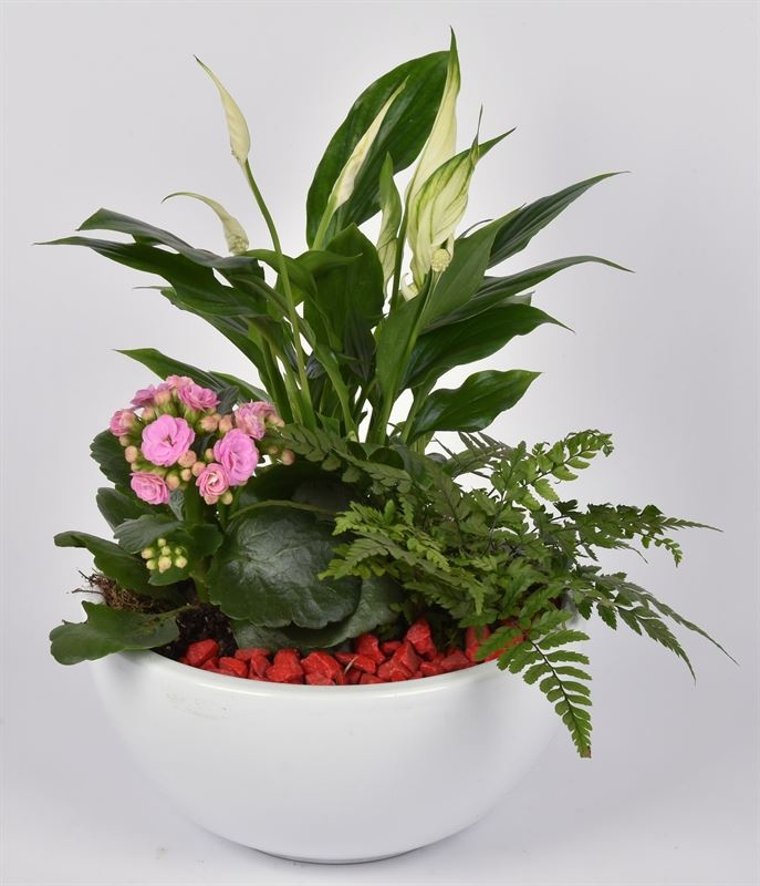 Keramiek schaal wit 20cm, D 20