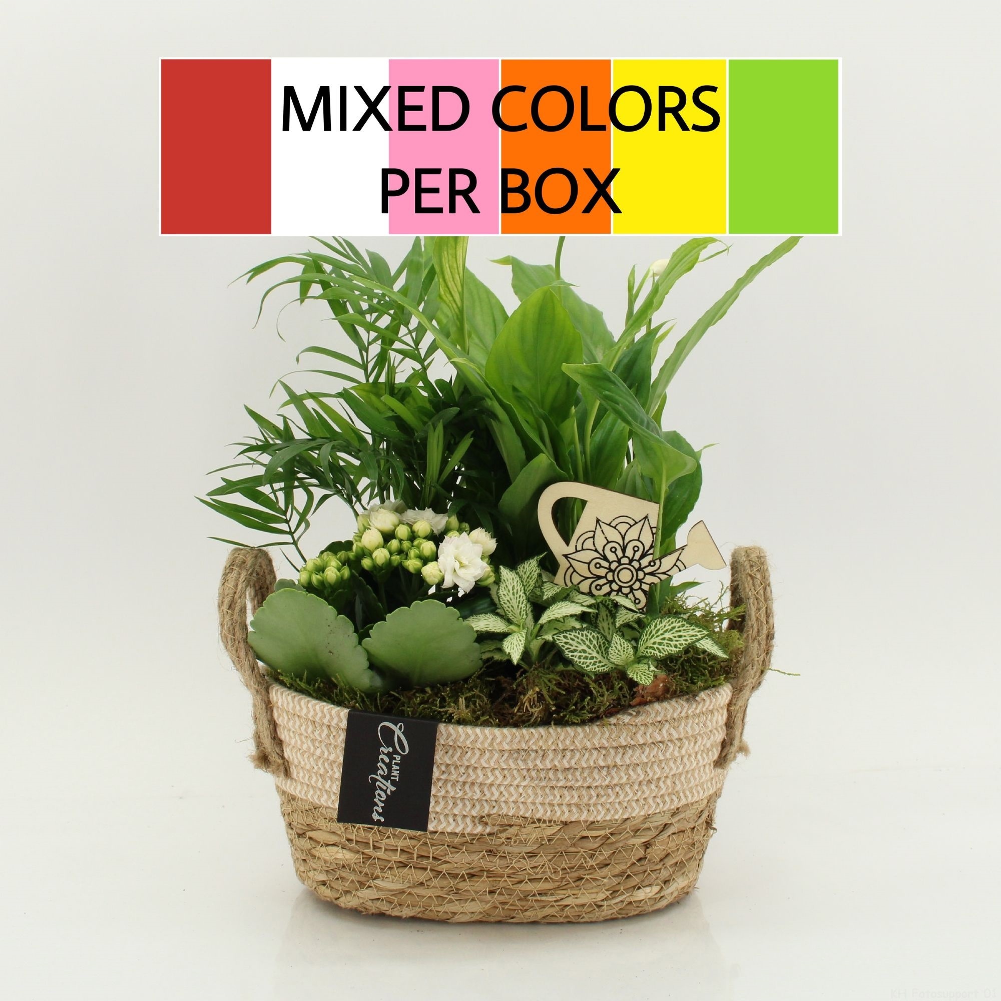 FDCR-2618M Basic Fundamentals, D 24