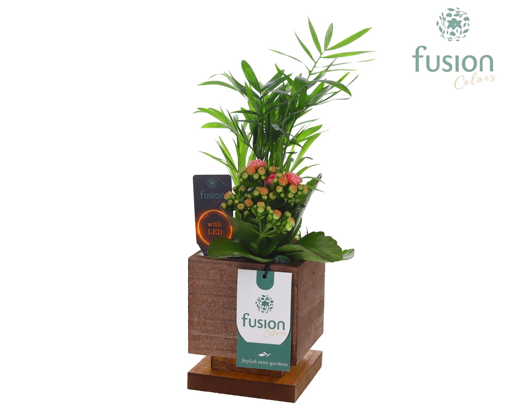 The Green Lighting Garden LED Small met Arrangement, D 10