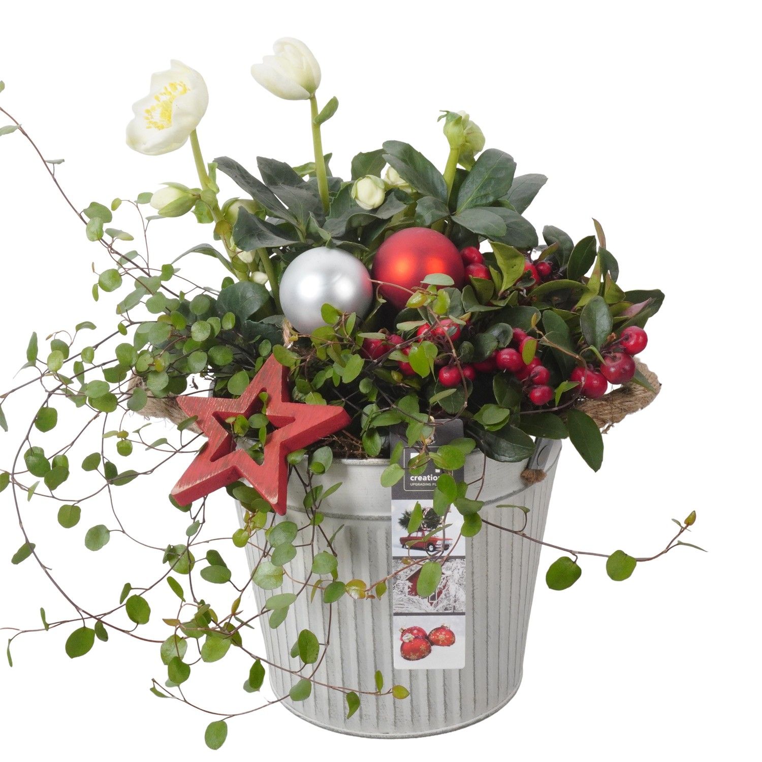 PTWO1944 Arrangement Winter Outdoor in metalen bak, D 16 cm PTWO1944 Arrangement Winter Outdoor in metalen bak, D 16 cm