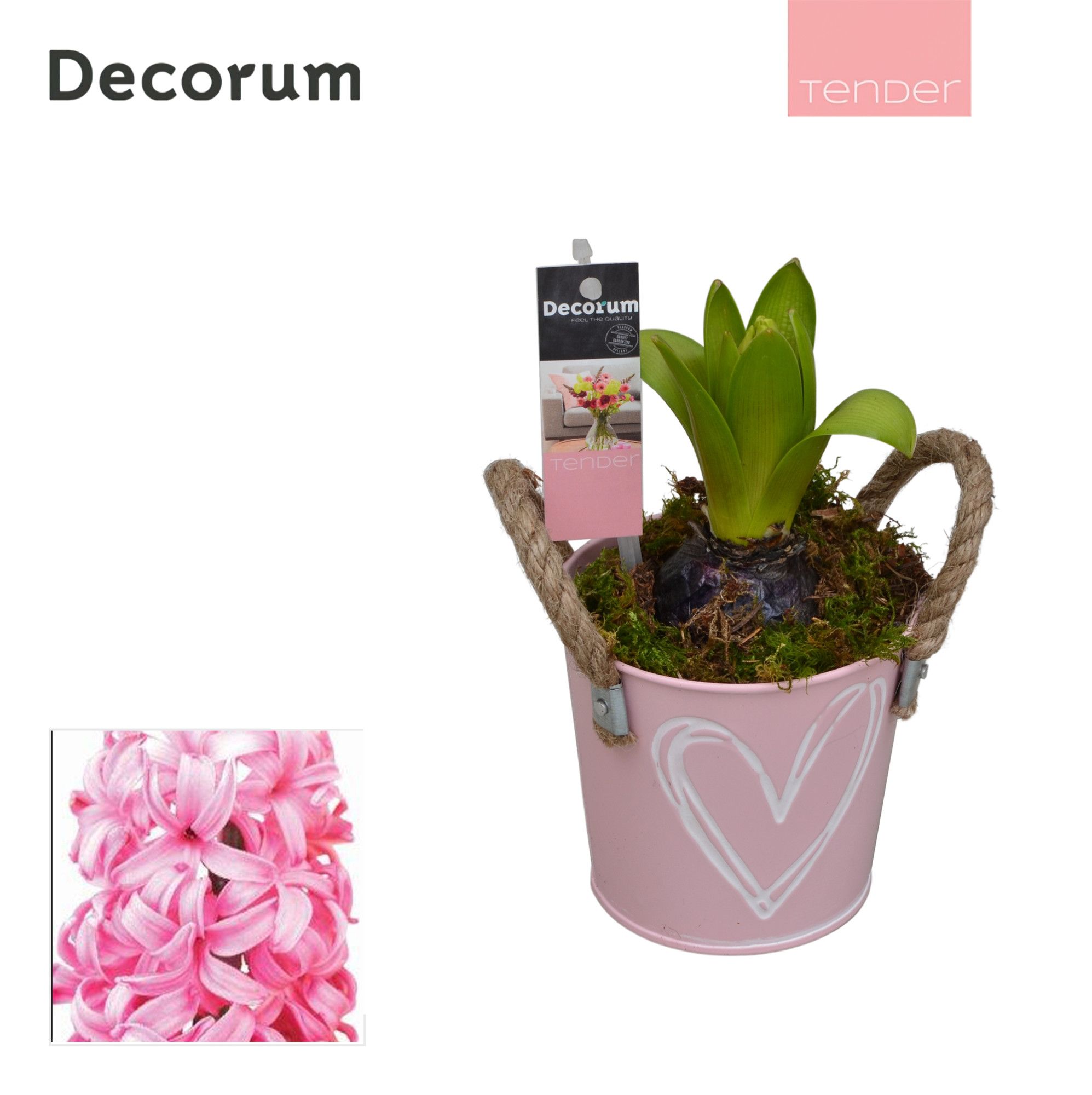 Hyacint Bucket Mini HL10774PP [TENDER], D 10