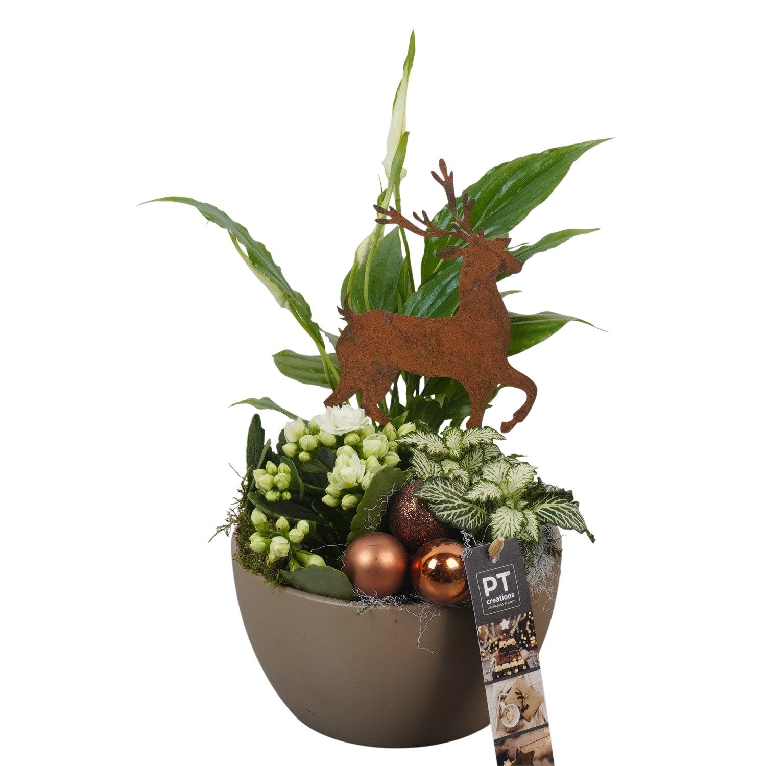 PTCHB9728 Arrangement Christmas Bronze in keramiek schaal, D 15 cm