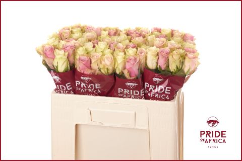 Роза од. Микс в пачке 50, шт.