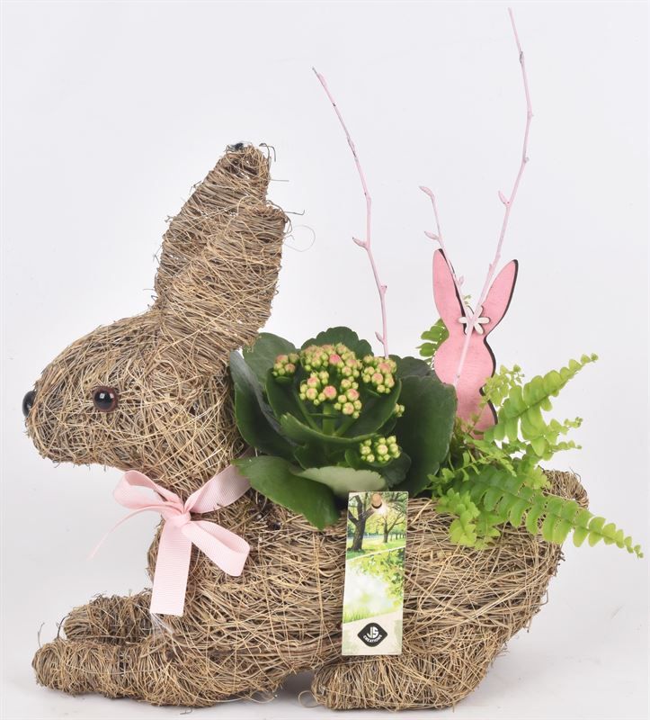 Stro haas 30x10cm, D 30