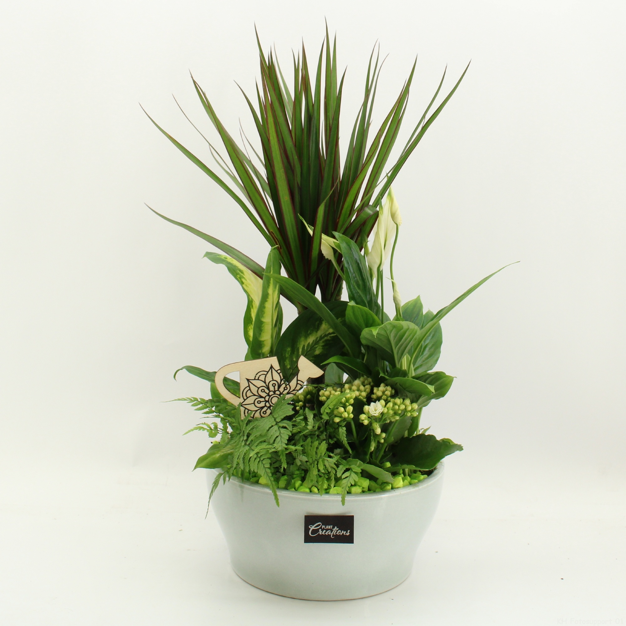 FDCR-2612GR Basic Fundamentals, D 22