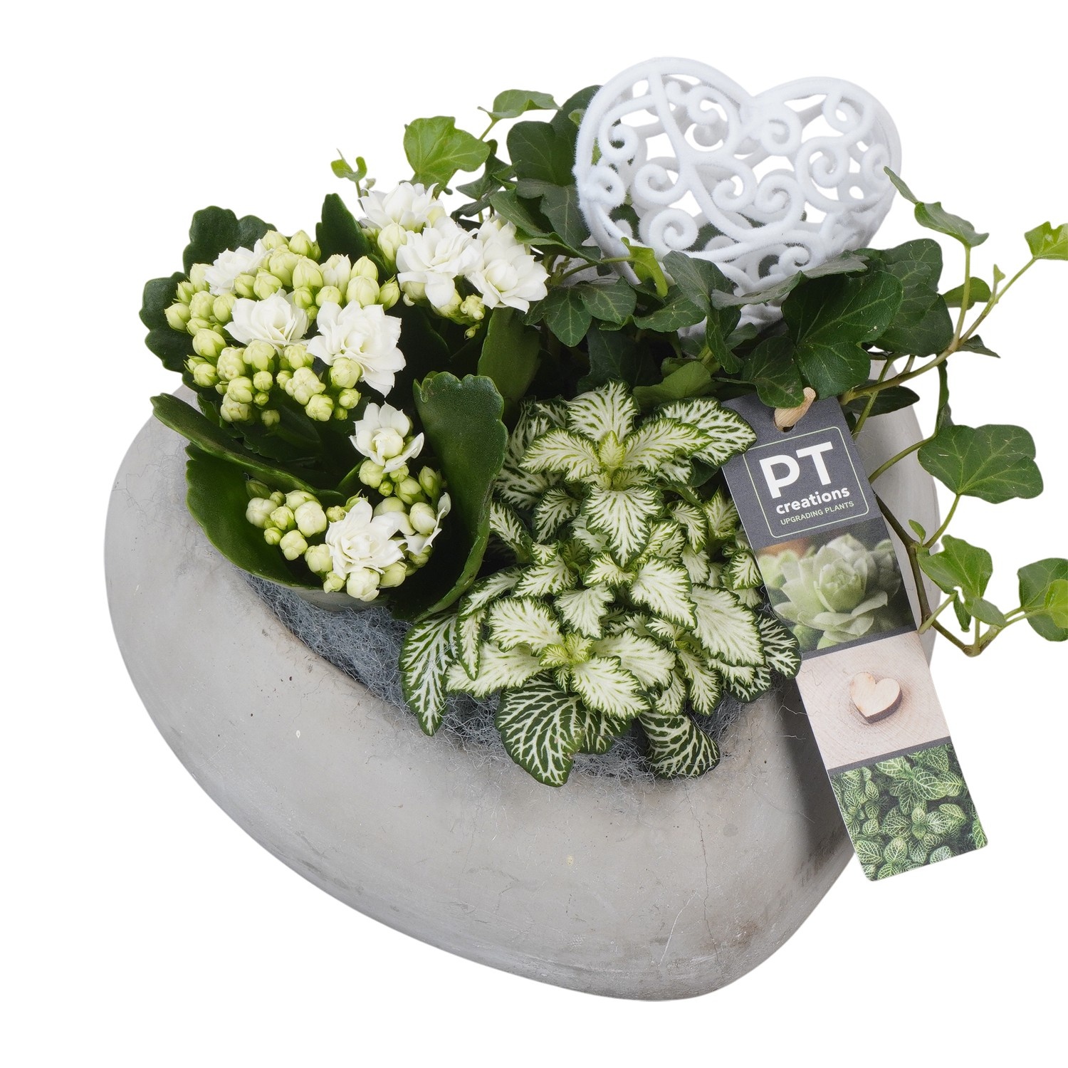 PTVMB2283 Arrangement Valentines-Mothersday in beton hart, D 20