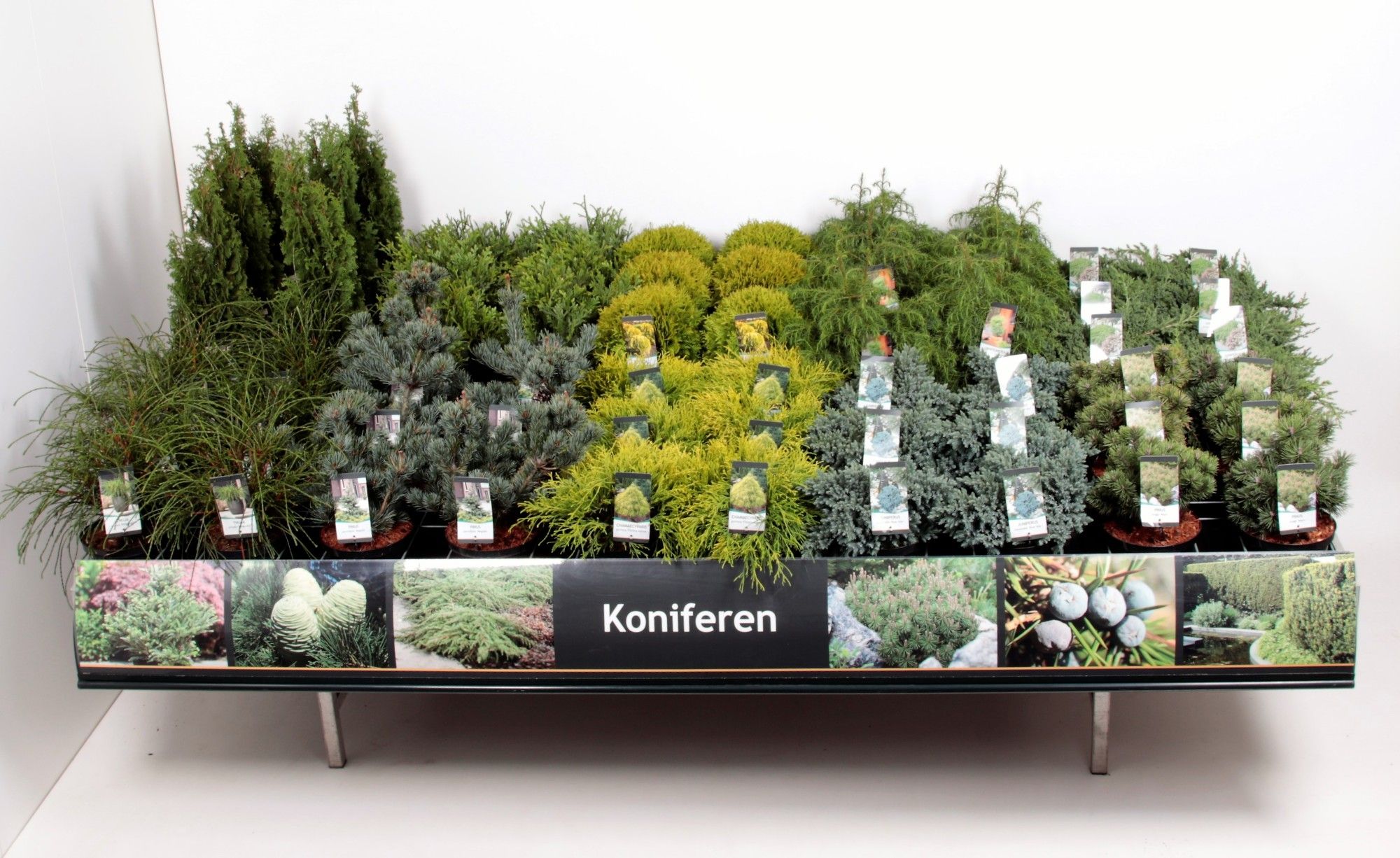 Tafelconcept Basisassortiment C5 (mix kan afwijken van foto), D 23