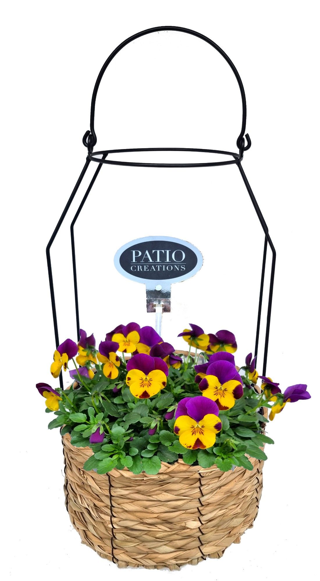 V801-9323 Viola lantaarn Nina, D 23