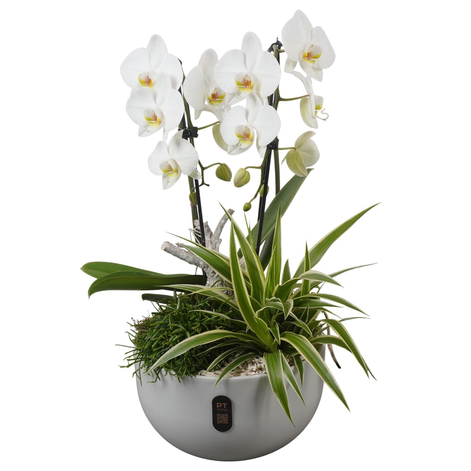 PTIB5157 Arrangement Indoor in keramiek schaal, D 26