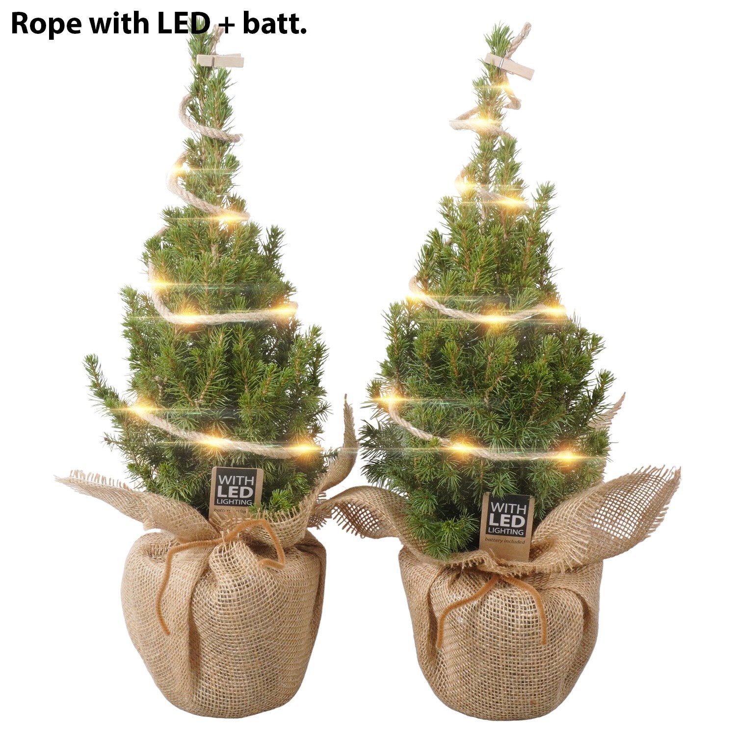 PTK26319 Conica Perfecta in jute met LED, D 13