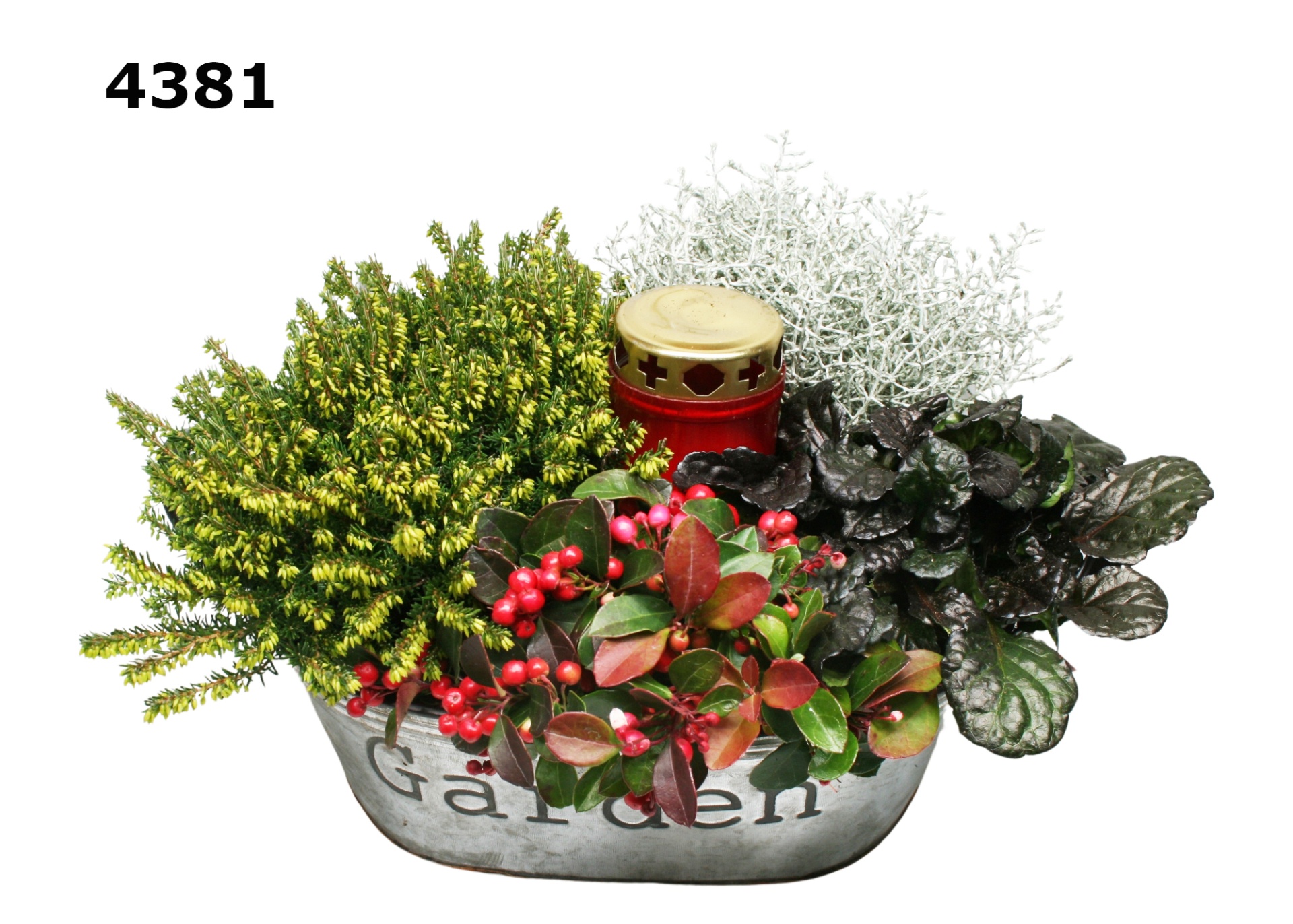 Graf zinkenteil L, D 31 cm