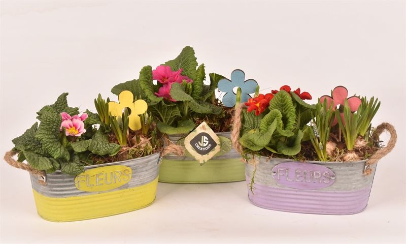 Zink ovaal mix kl. 20x11cm, D 20