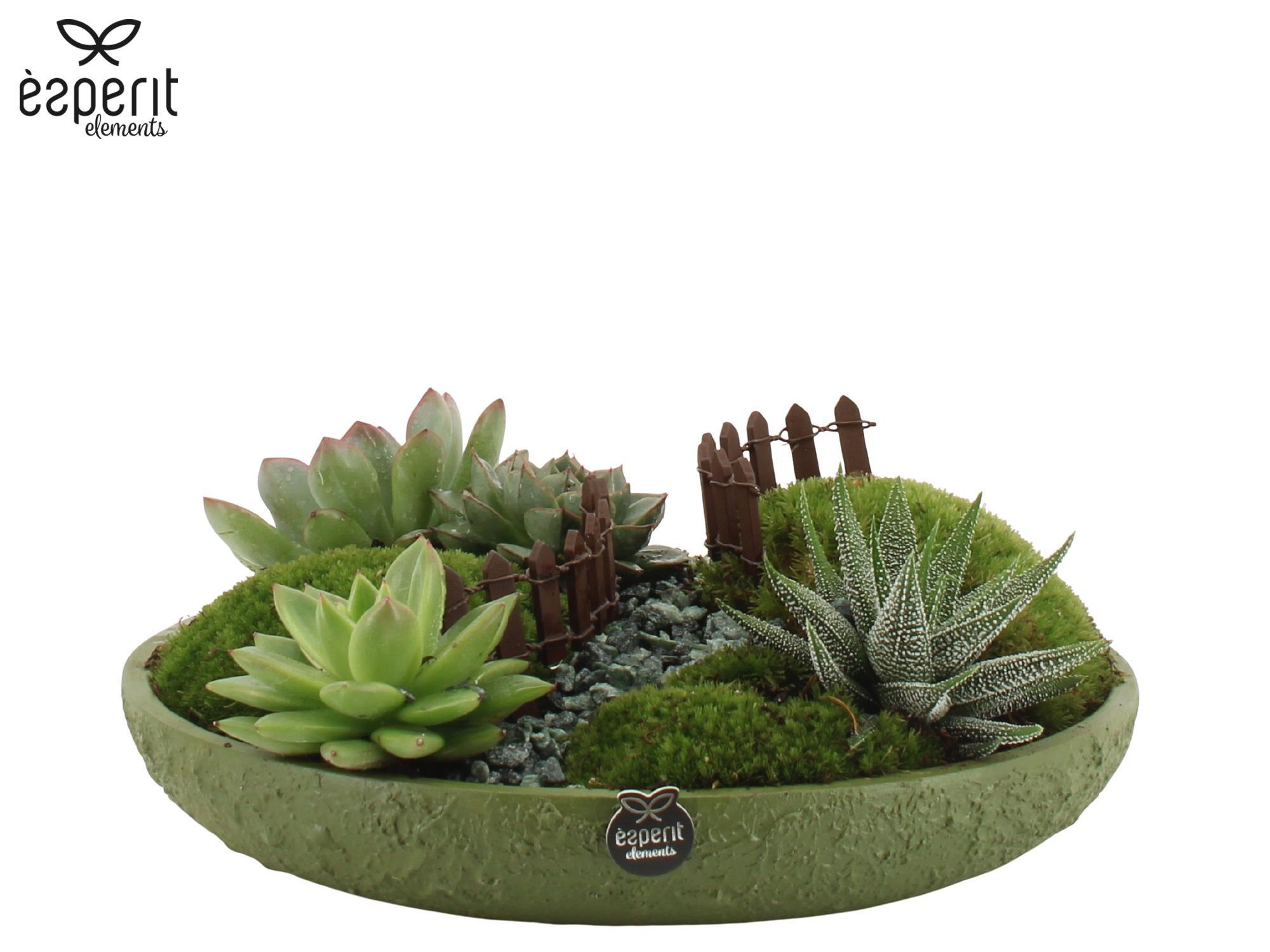 90763: Landscape arrangement, D 25