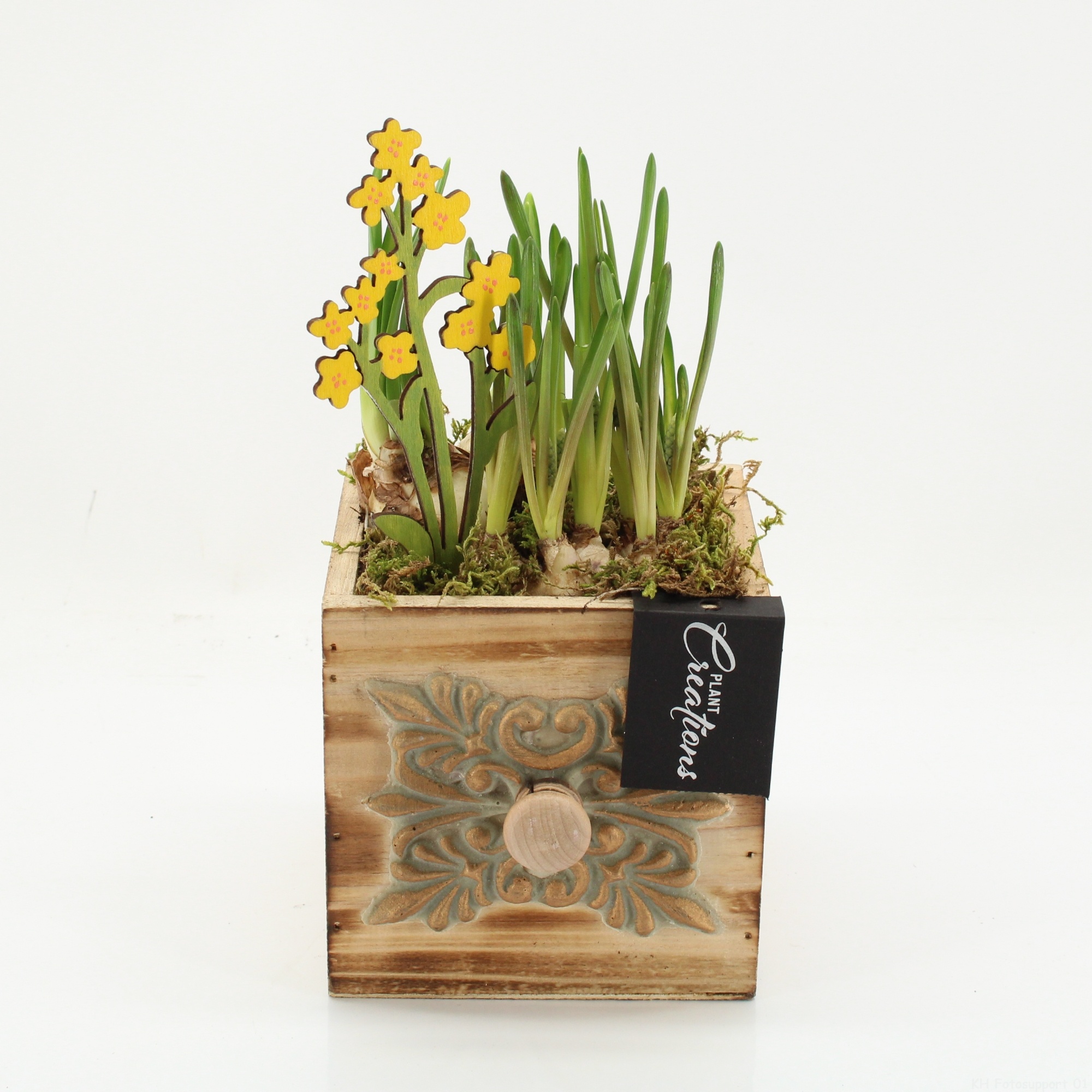 BLCR-2626 Bulbs creations, D 12