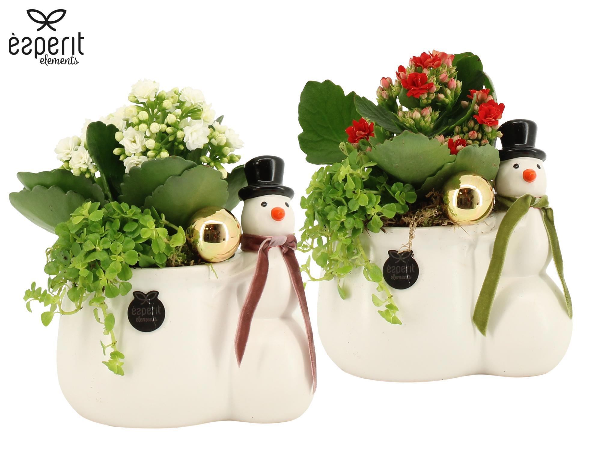 62040: X-mas arrangement, D 14