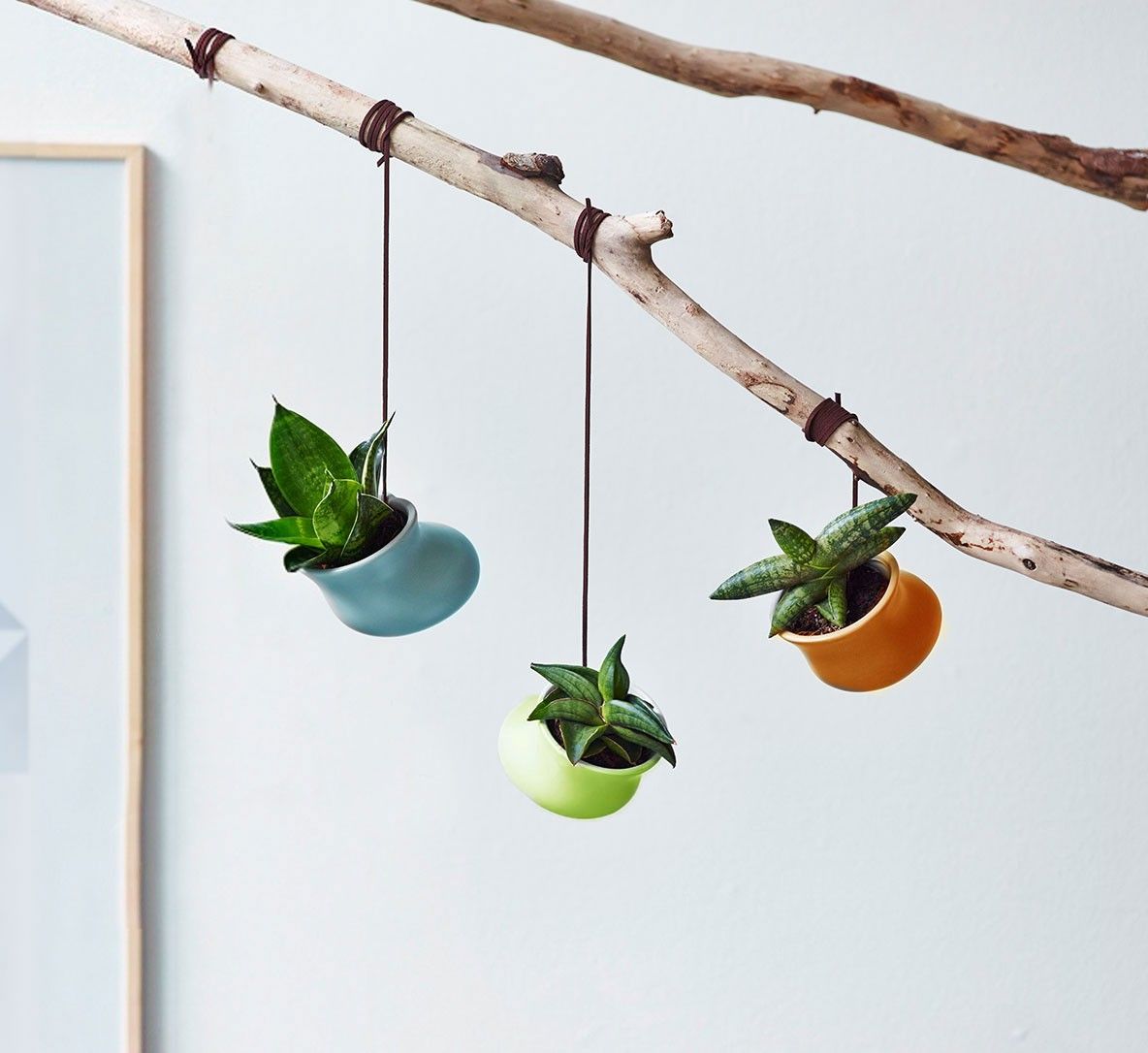 Color Drops Creation 6 cm, D 6