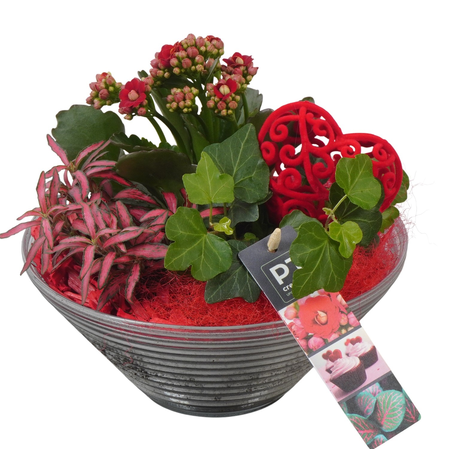 PTVMG4963 Arrangement Valentines-Mothersday in glas schaal, D 19