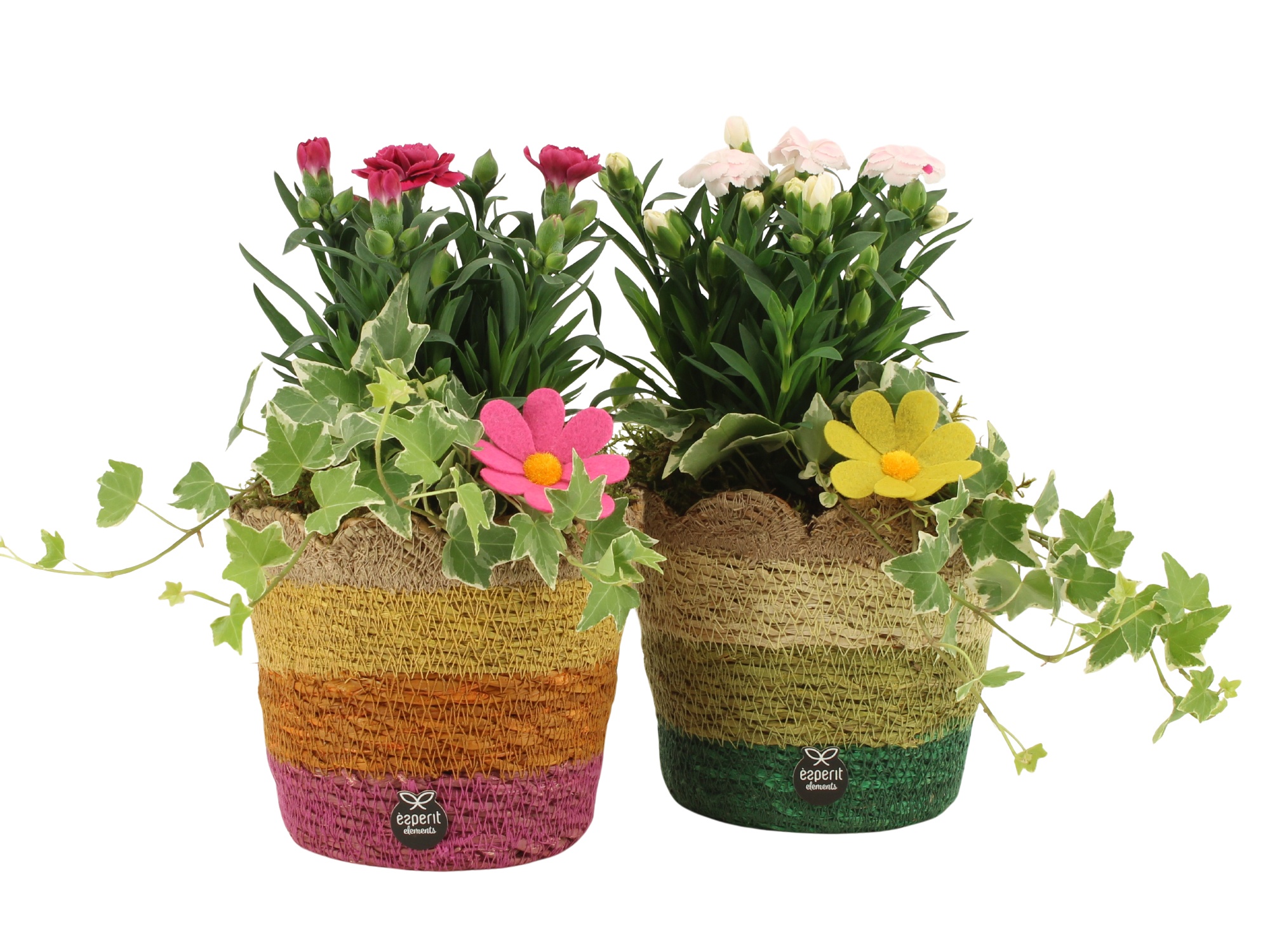 31681: Outdoor summer arrangement, D 13