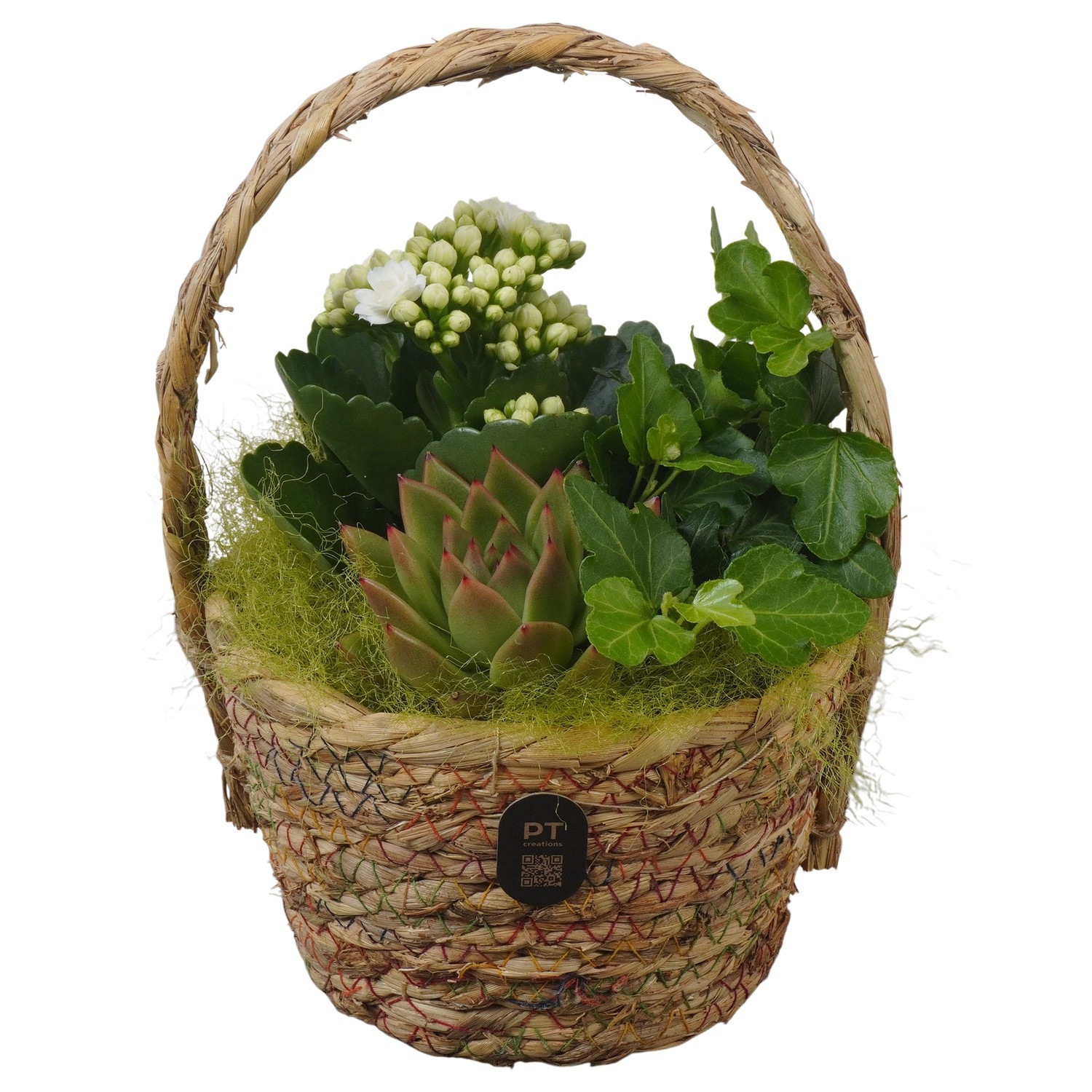 PTIB5222 Arrangement Indoor in rieten hengselmand, D 15