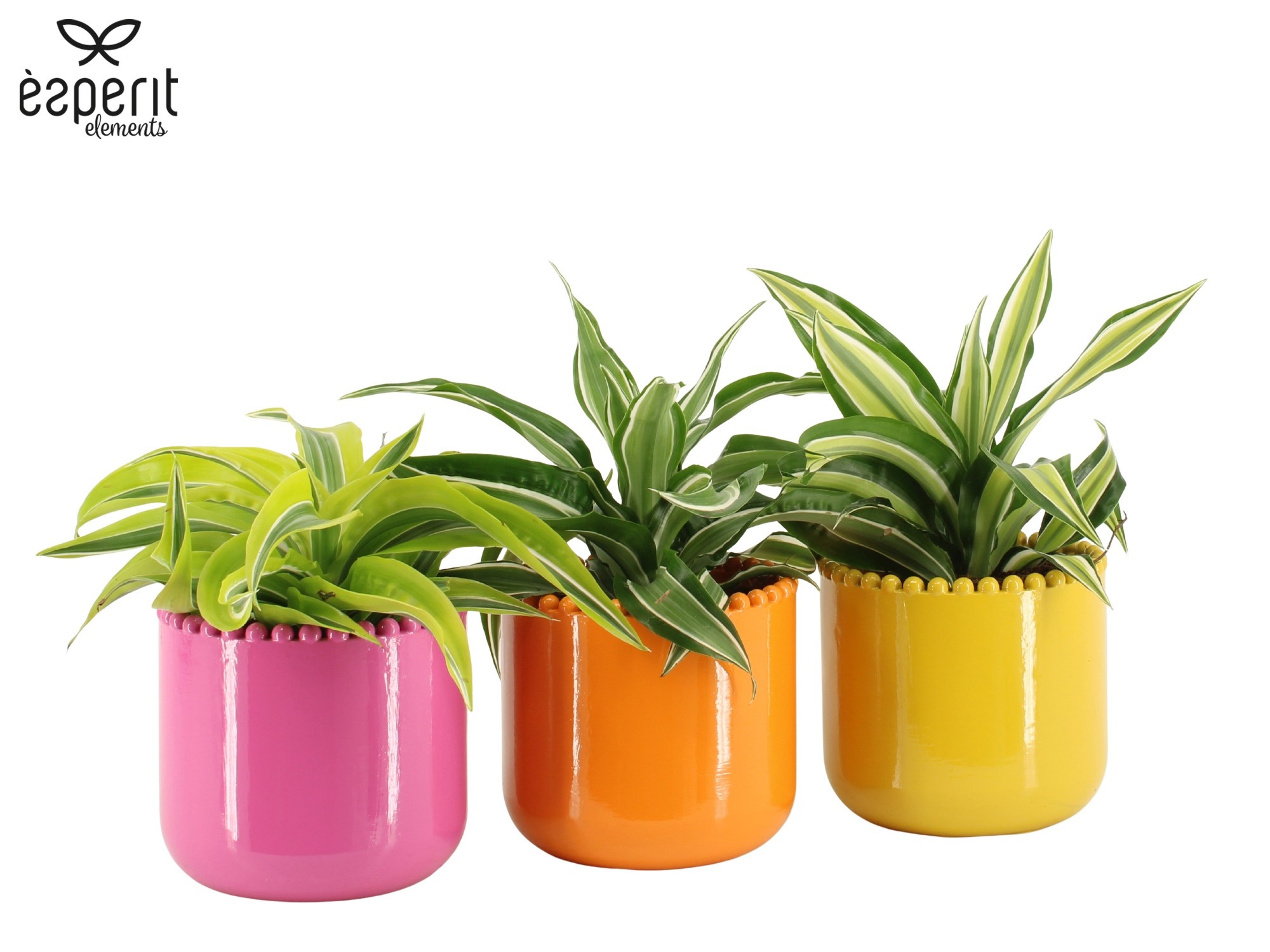 7503592: Solutionss Reinvention, D 12