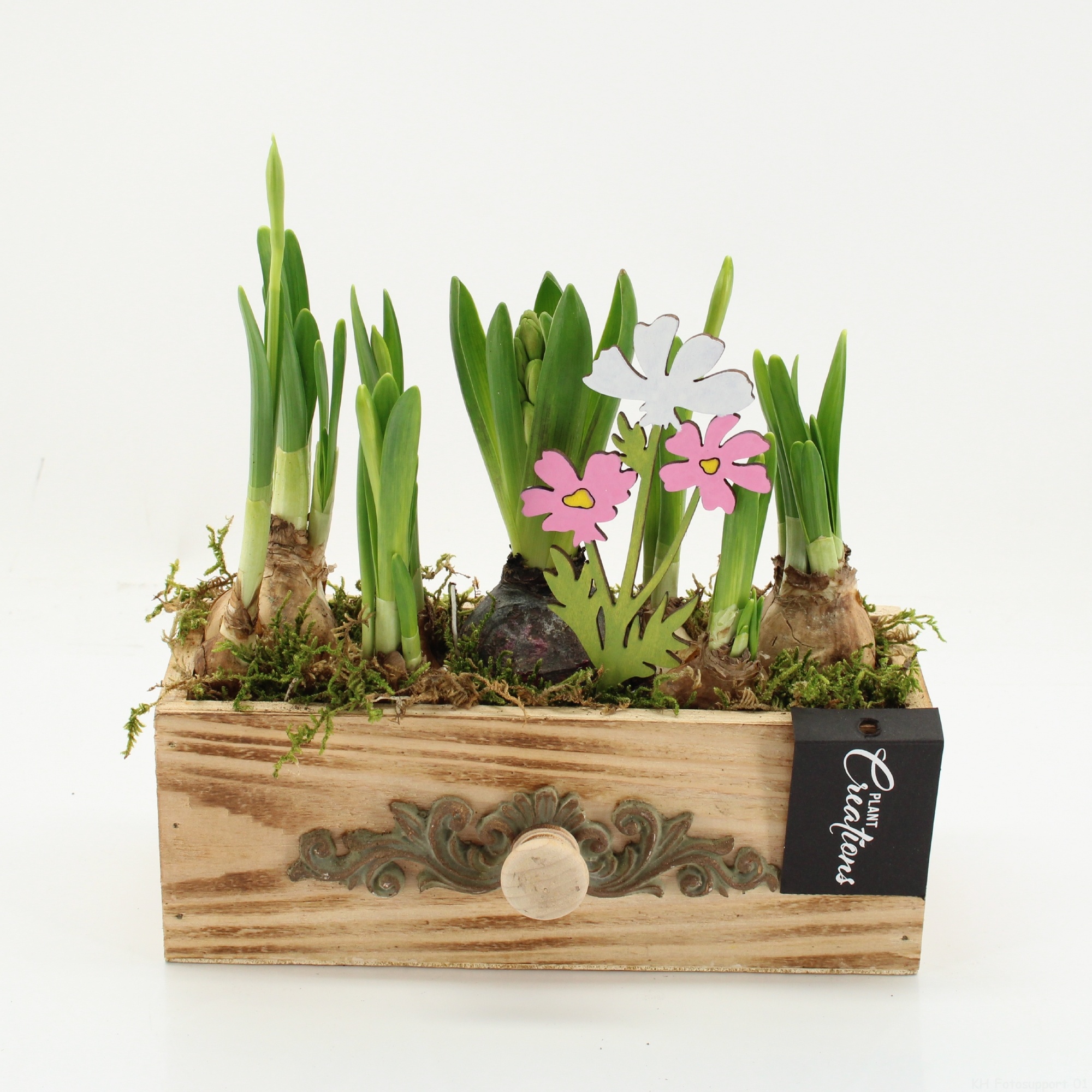 BLCR-2627 Bulbs creations, D 21