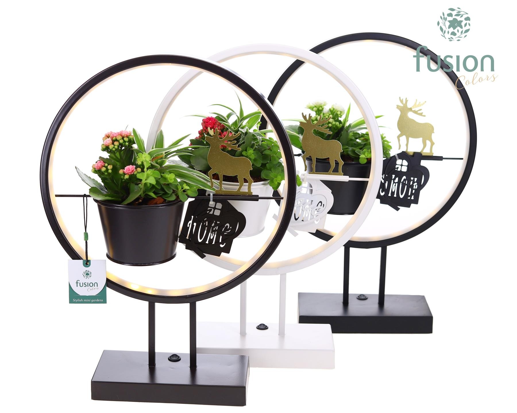 Metalen LED globe met rendier en Kerst Arrangement, D 30
