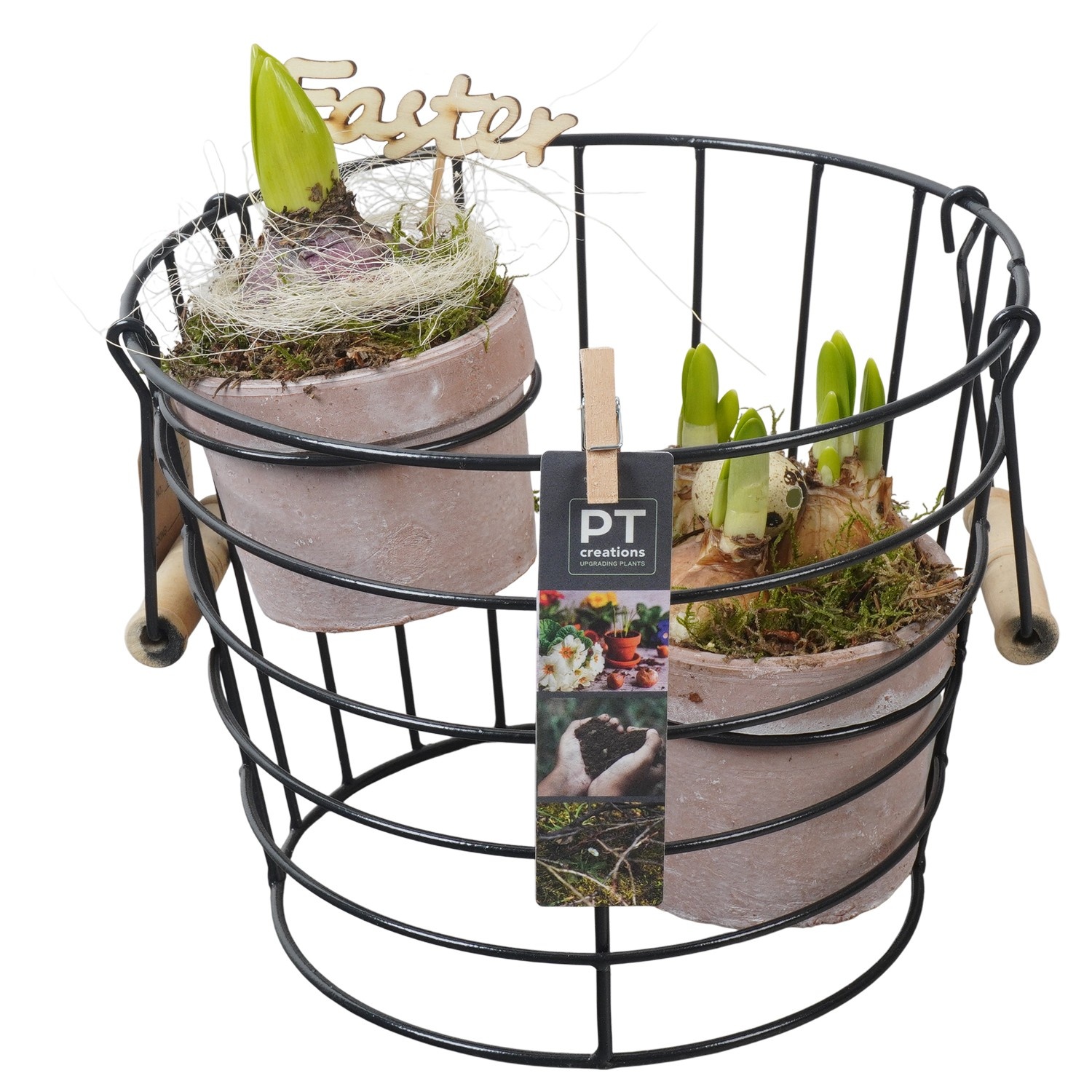 PTBMP5707 Arrangement Easter Bulbs Mix in terracotta pot met metaal, D 23