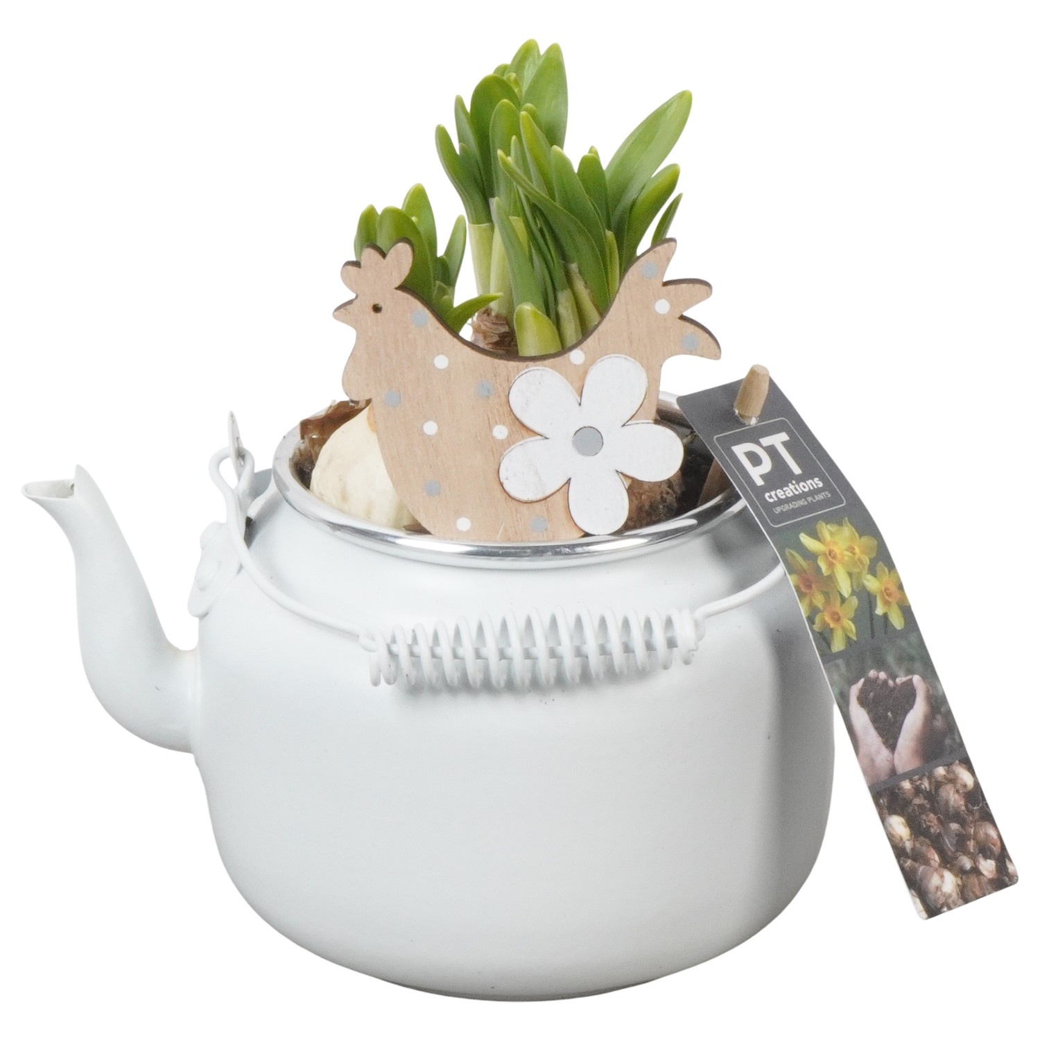 PTNP4445 Arrangement Narcissus Easter in zink pot, D 10