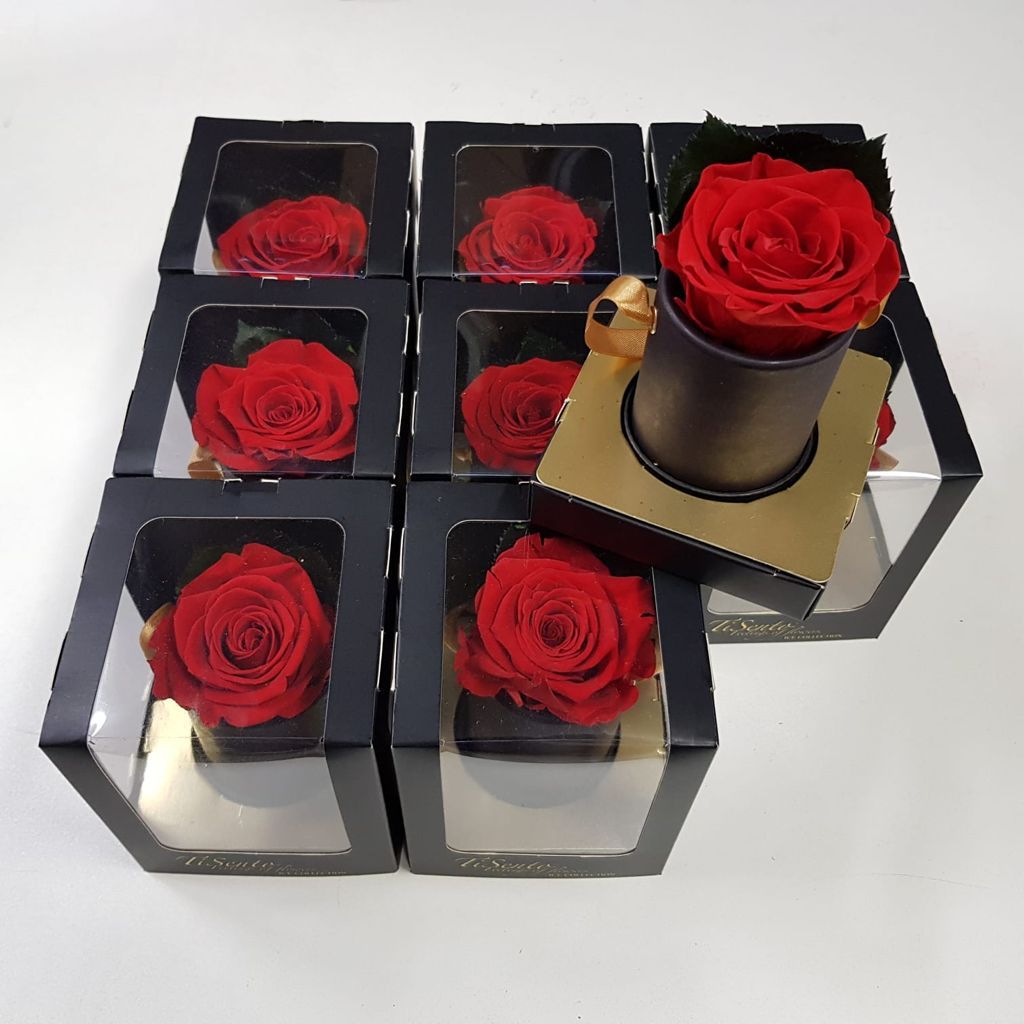 ICE Rose in Showdoos valentijn en moederdag, D 5