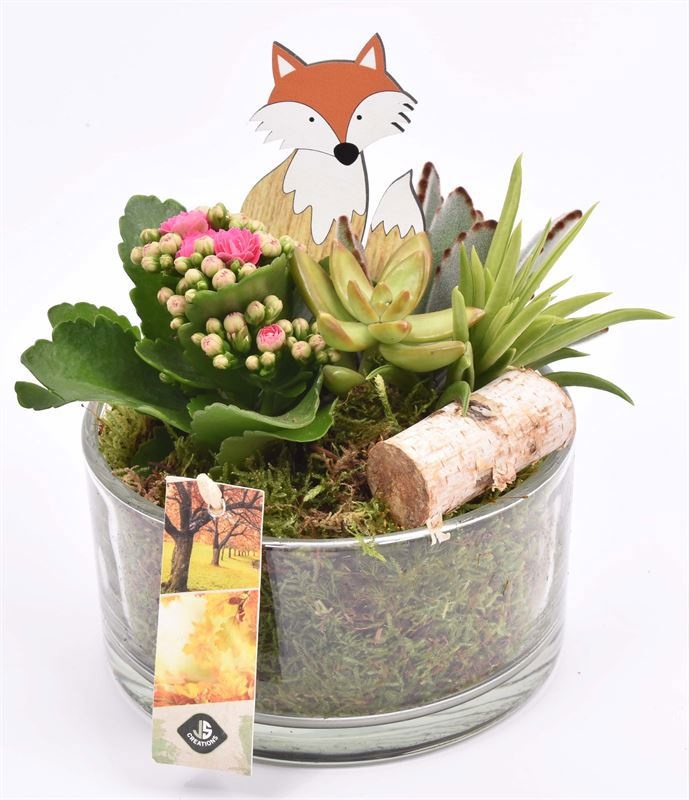 Glas schaal 15cm, D 15