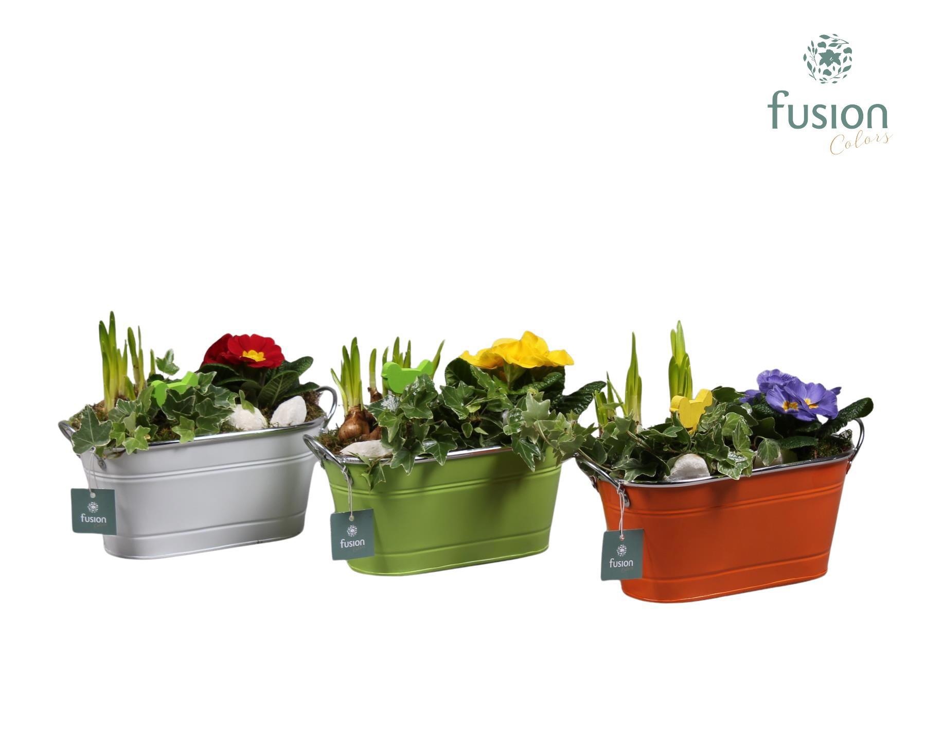 Schaal zink ovaal Voorjaar met Arrangement verschillende kleuren, D 25