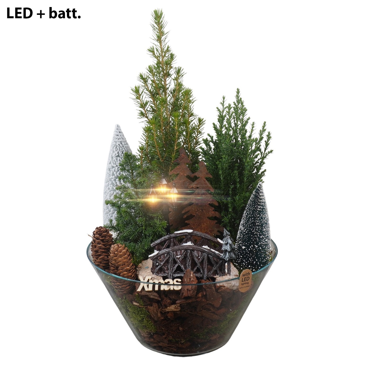 PTCWW7729 Arrangement Winter in glas schaal met led, D 26