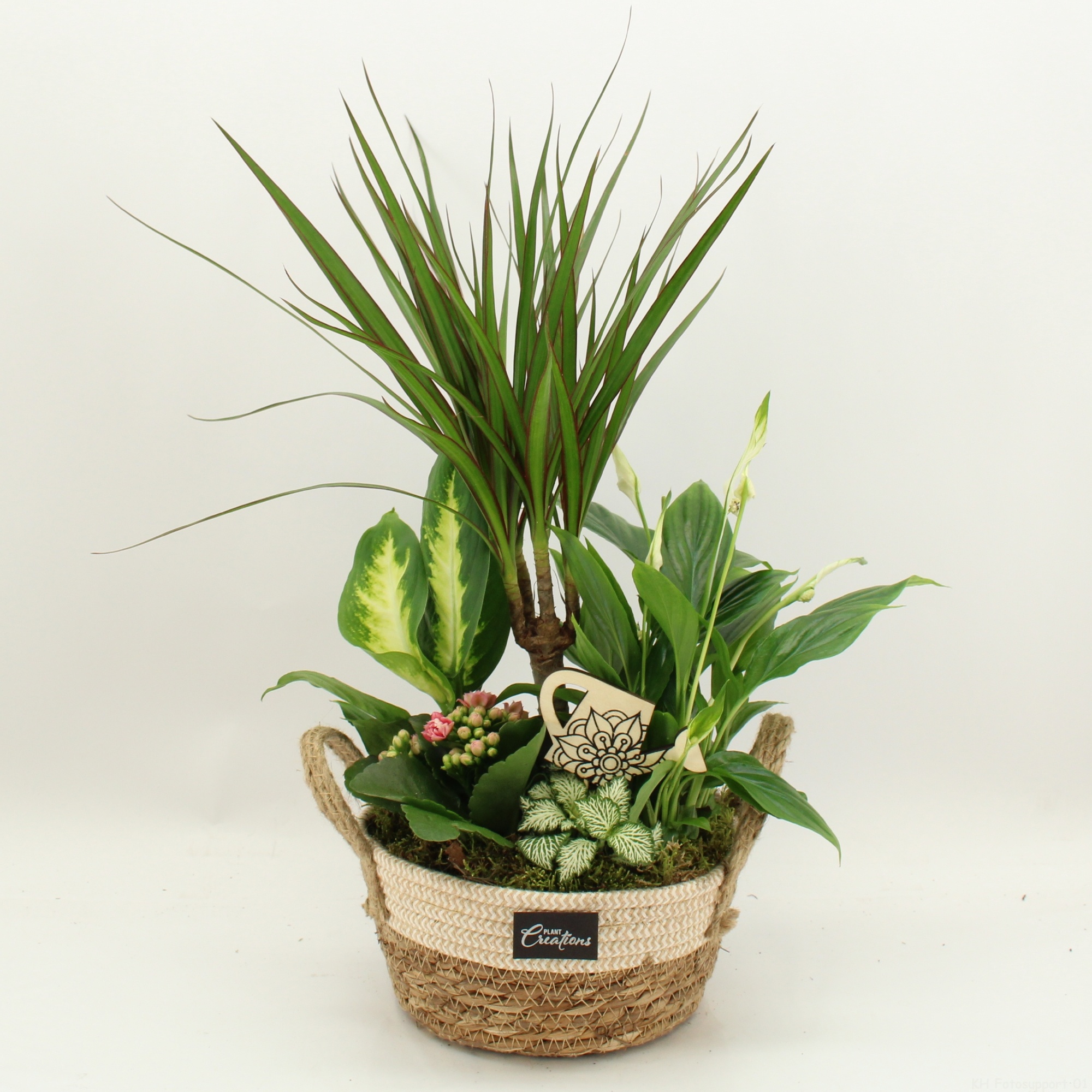 FDCR-2619RZ Basic Fundamentals, D 21