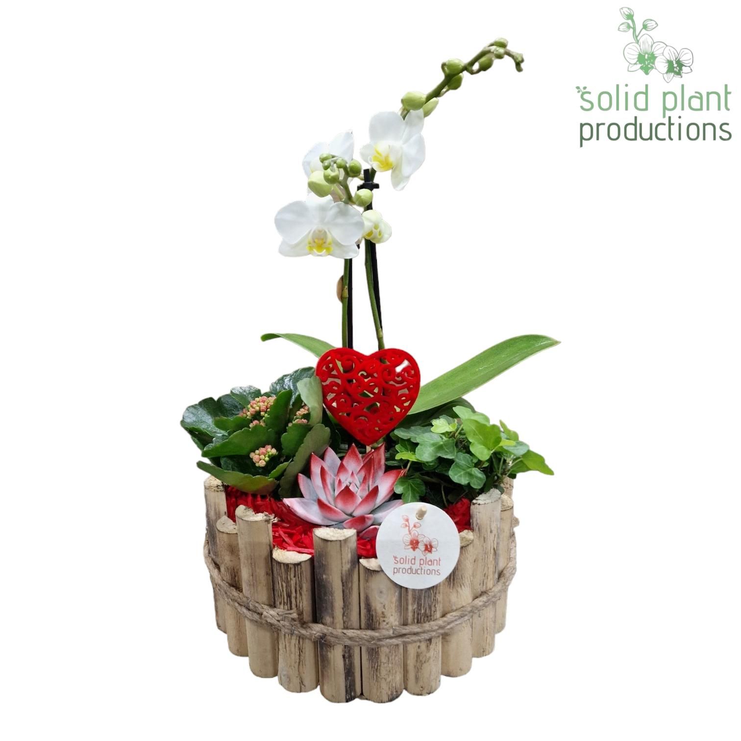 HVPE002 Milano Large Red, D 23