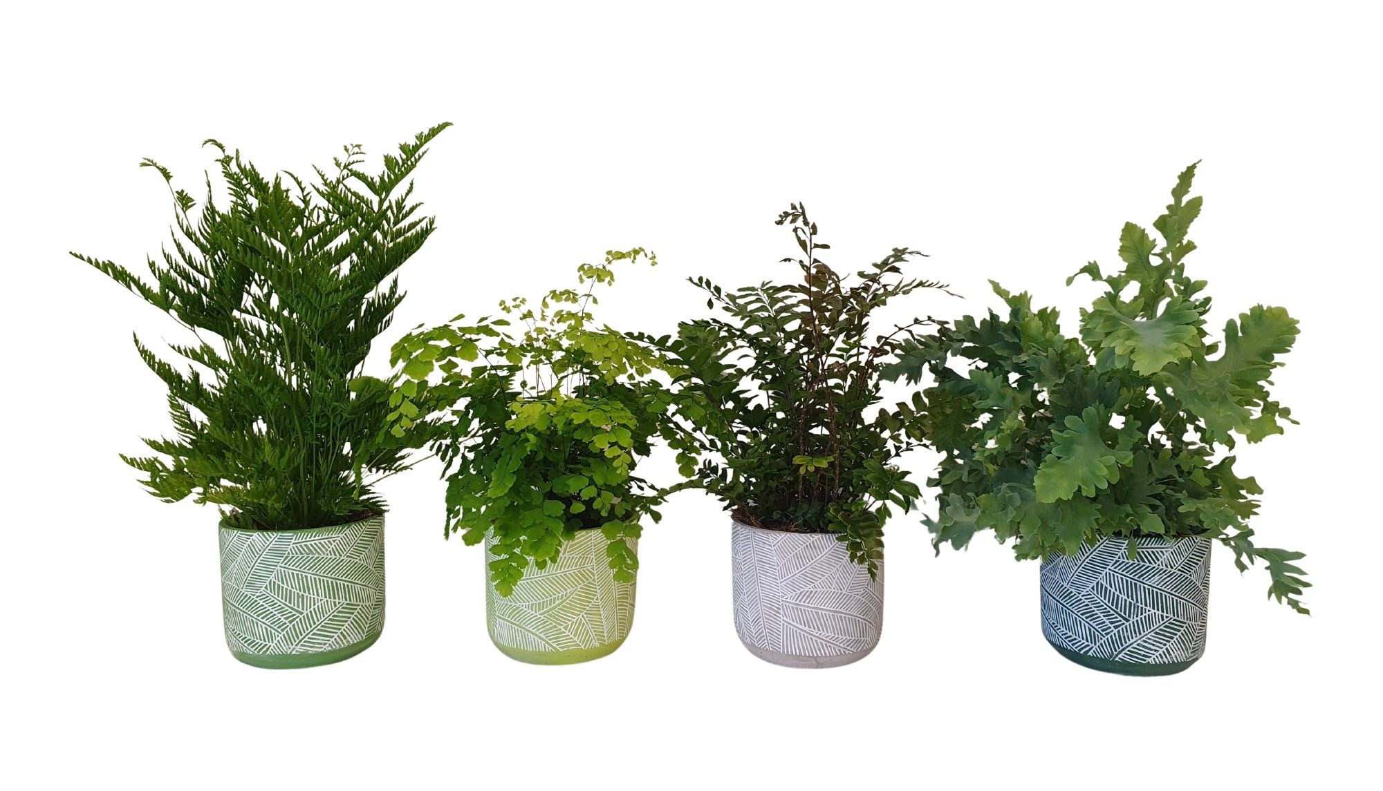 Varenmix in keramiek BGC009, D 12