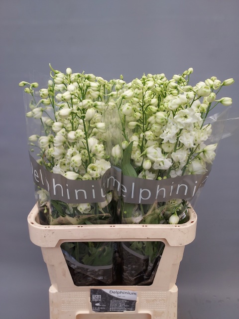 Дельфиниум дв. Центурион Вайт 90, шт.