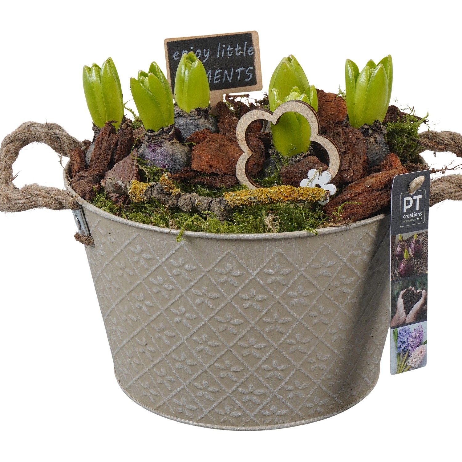 PTHC9132 Arrangement Hyacints in zink pot, D 21