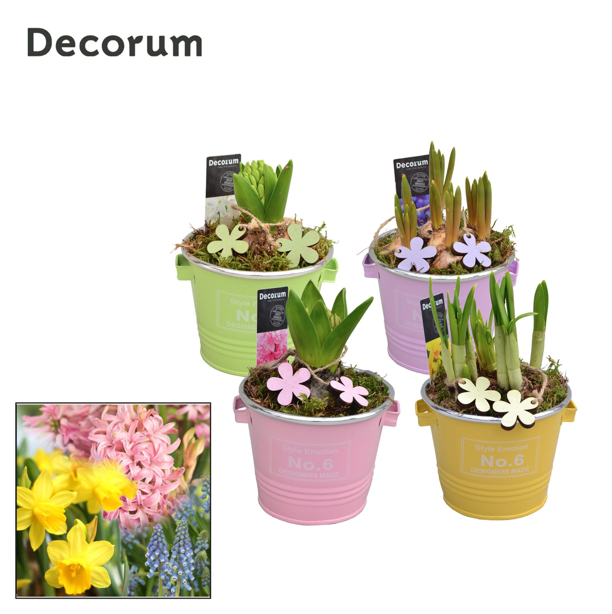 Bollenmix Colourful Bucket Mini HL10943B, D 10