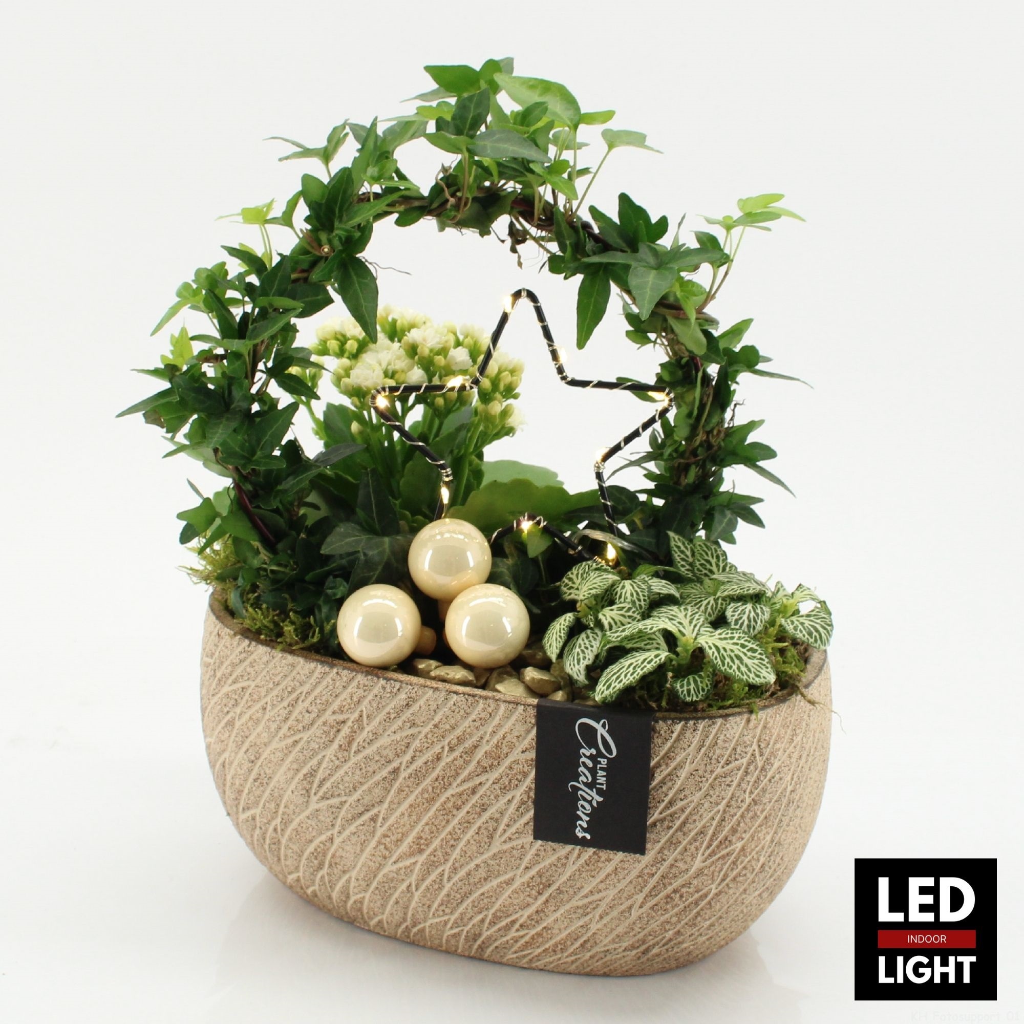 XMAS-25271LED Kerst creatie, D 23 cm XMAS-25271LED Kerst creatie, D 23 cm