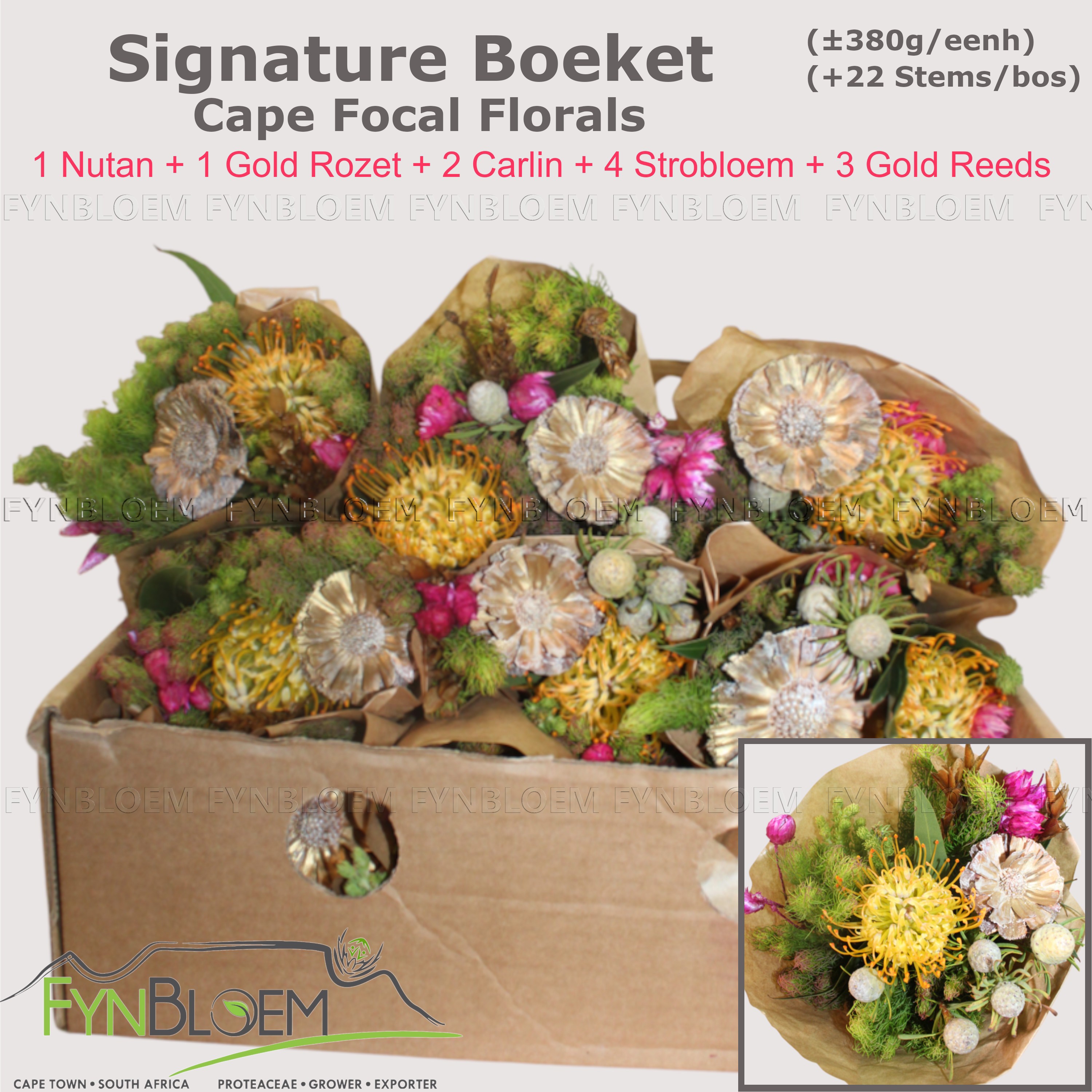 Протея Овериг за пучок 40, пуч.