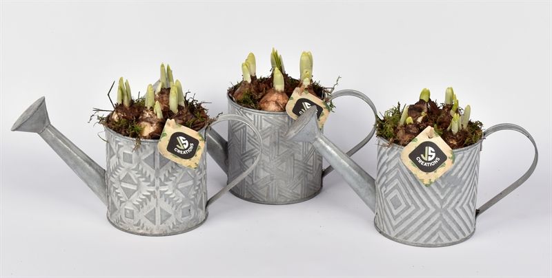 Zink gieter mix grijs 11cm, D 11