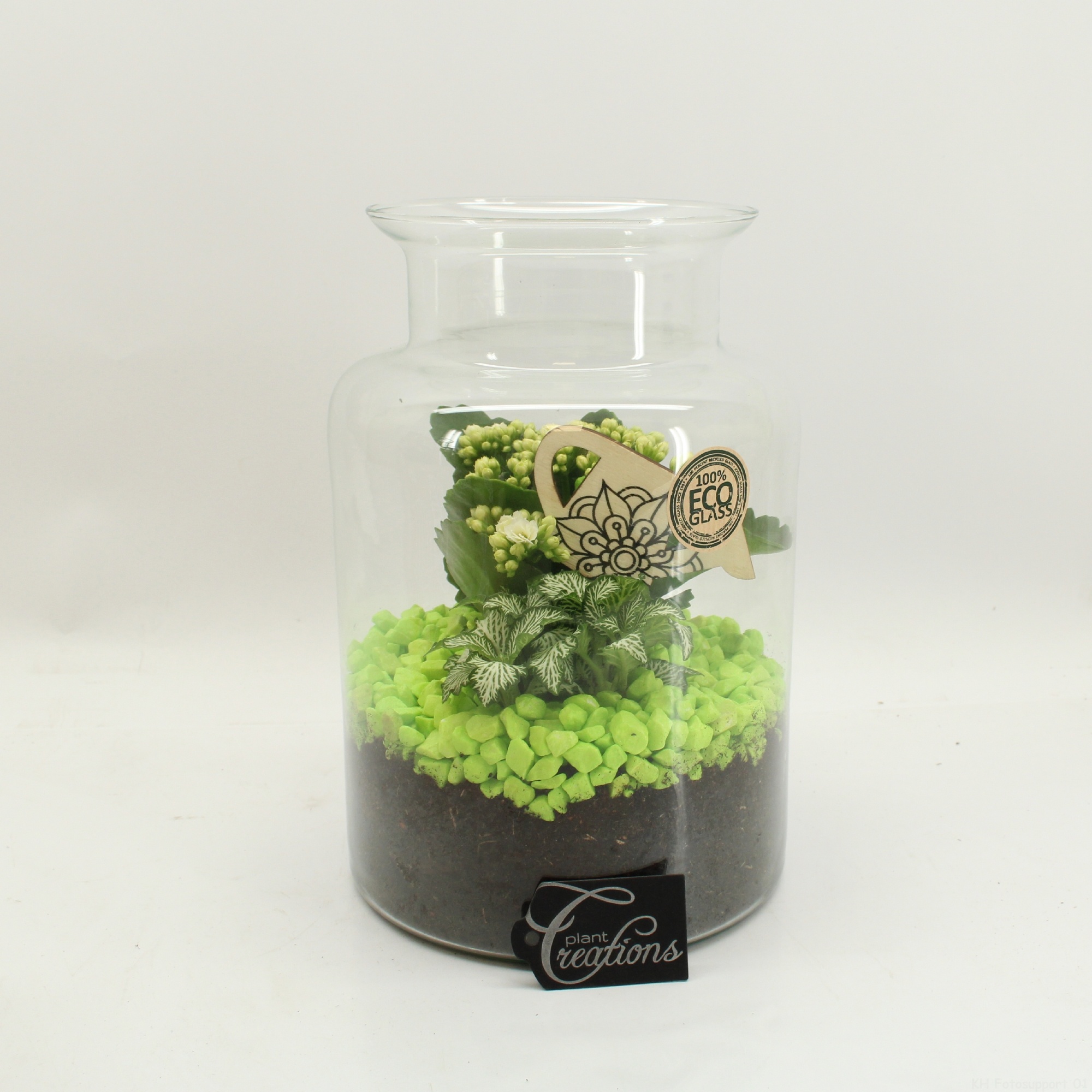 FDCR-2606GR Basic Fundamentals terrarium, D 17