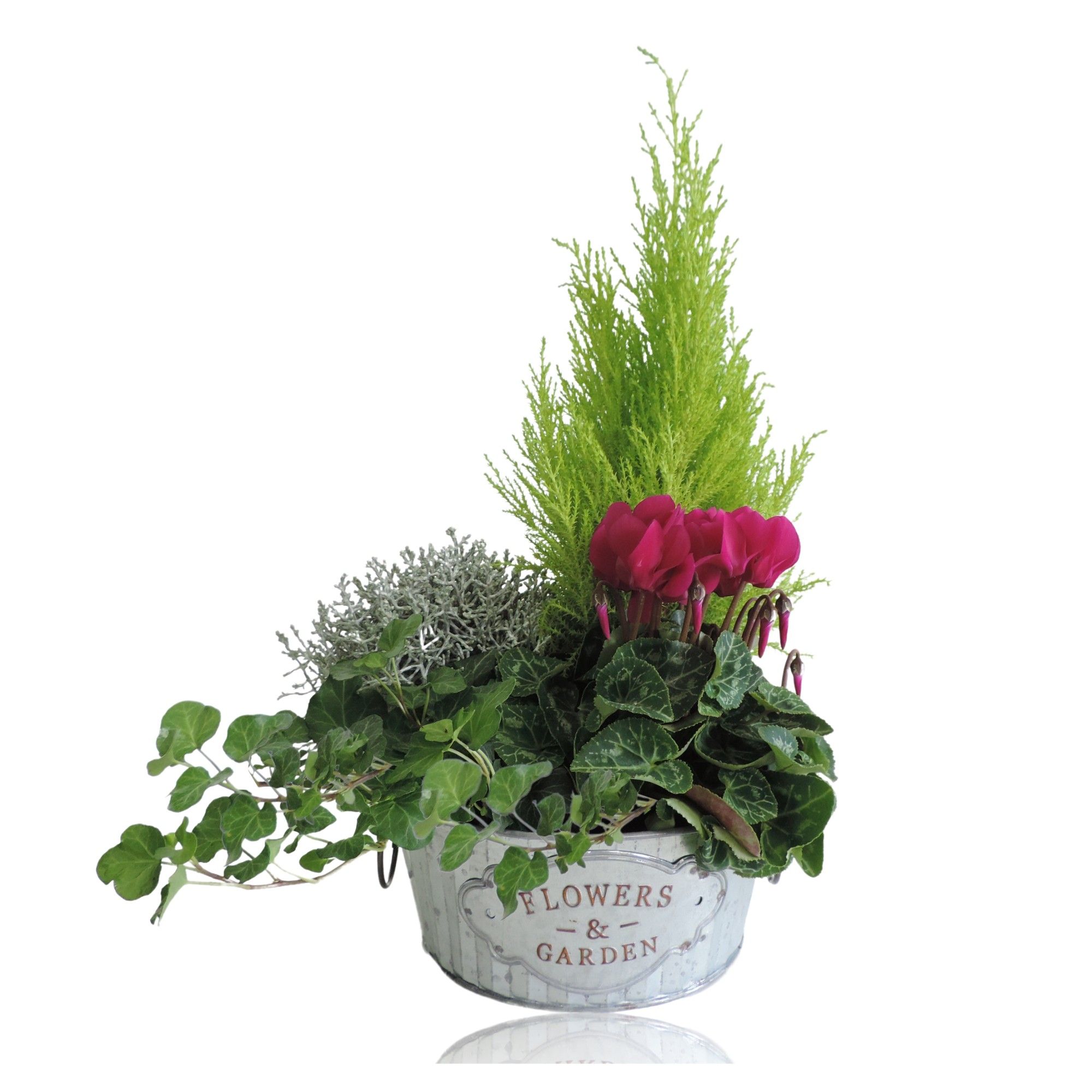 Collectie Dex Arrangement in Zinken Schaal 21 cm, D 21