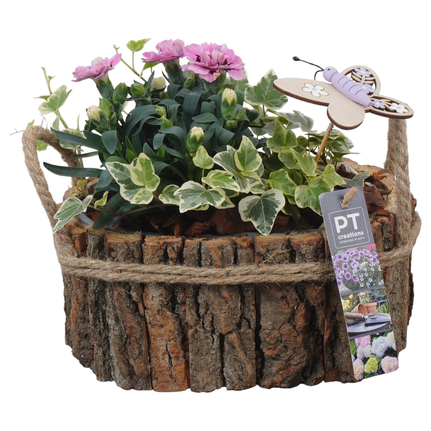 PTPP6984 Arrangement Patio in houten bak, D 21
