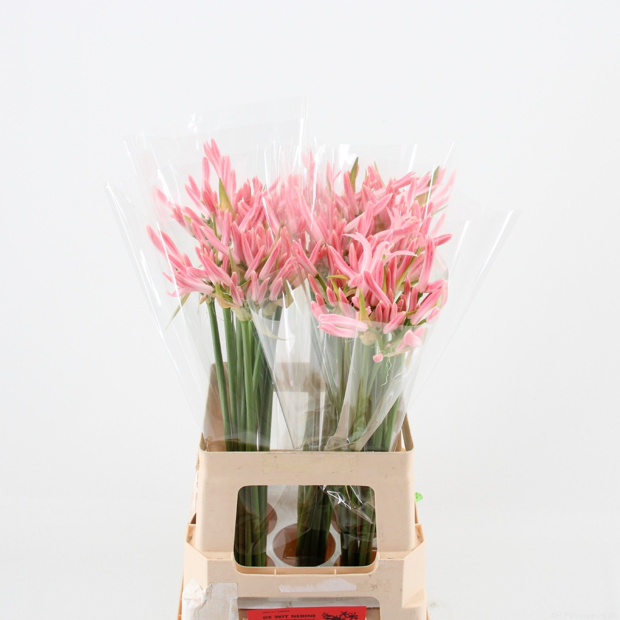 Нерине Мила 60, шт.