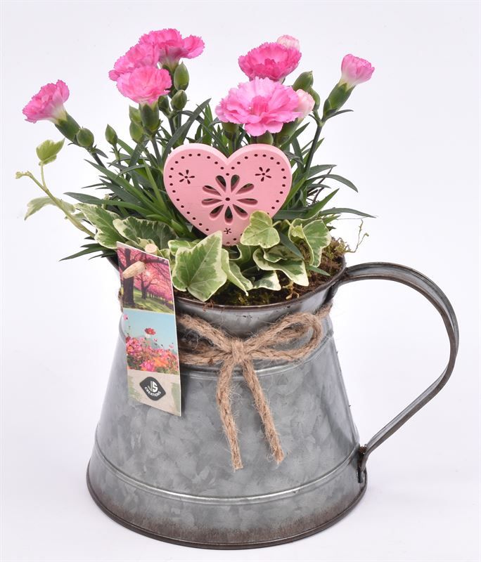 Zink kannetje met touw 12/18cm, D 14