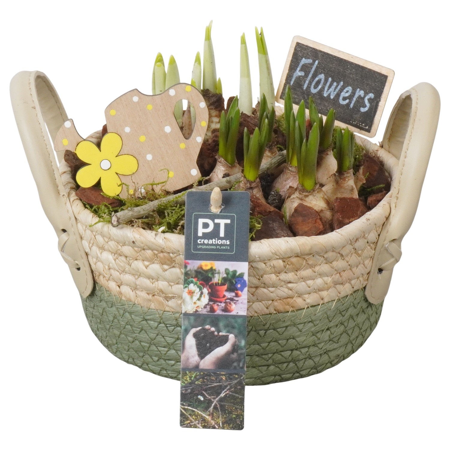 PTBM3823 Arrangement Flower Bulbs Mix in rieten mand, D 17