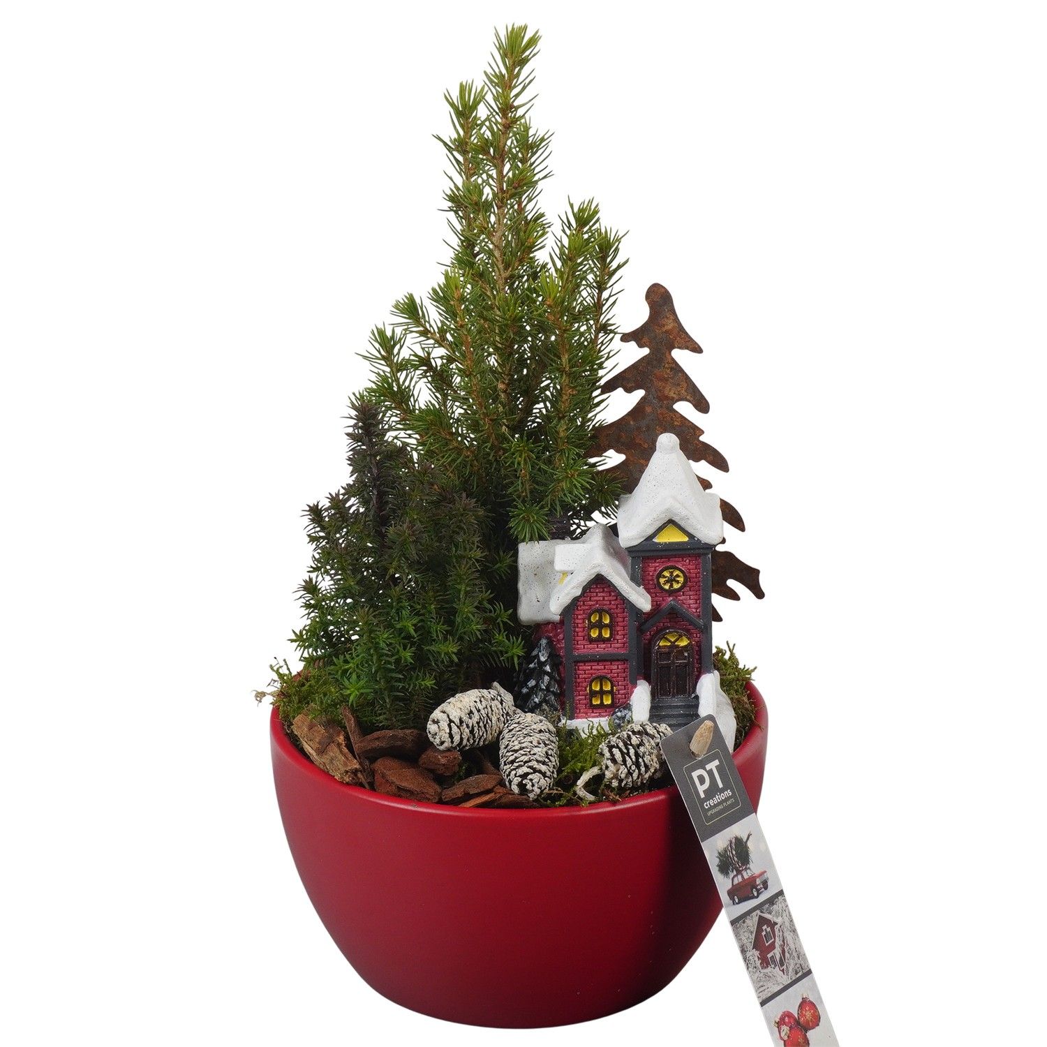 PTCWW6915 Arrangement Winter in keramiek schaal, D 15 cm