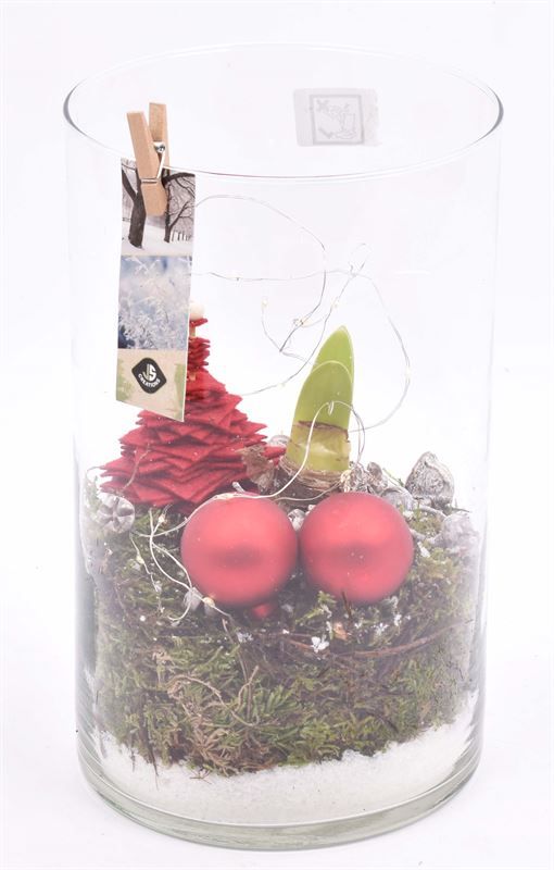 Glas cilinder recht 14cm, D 14 cm